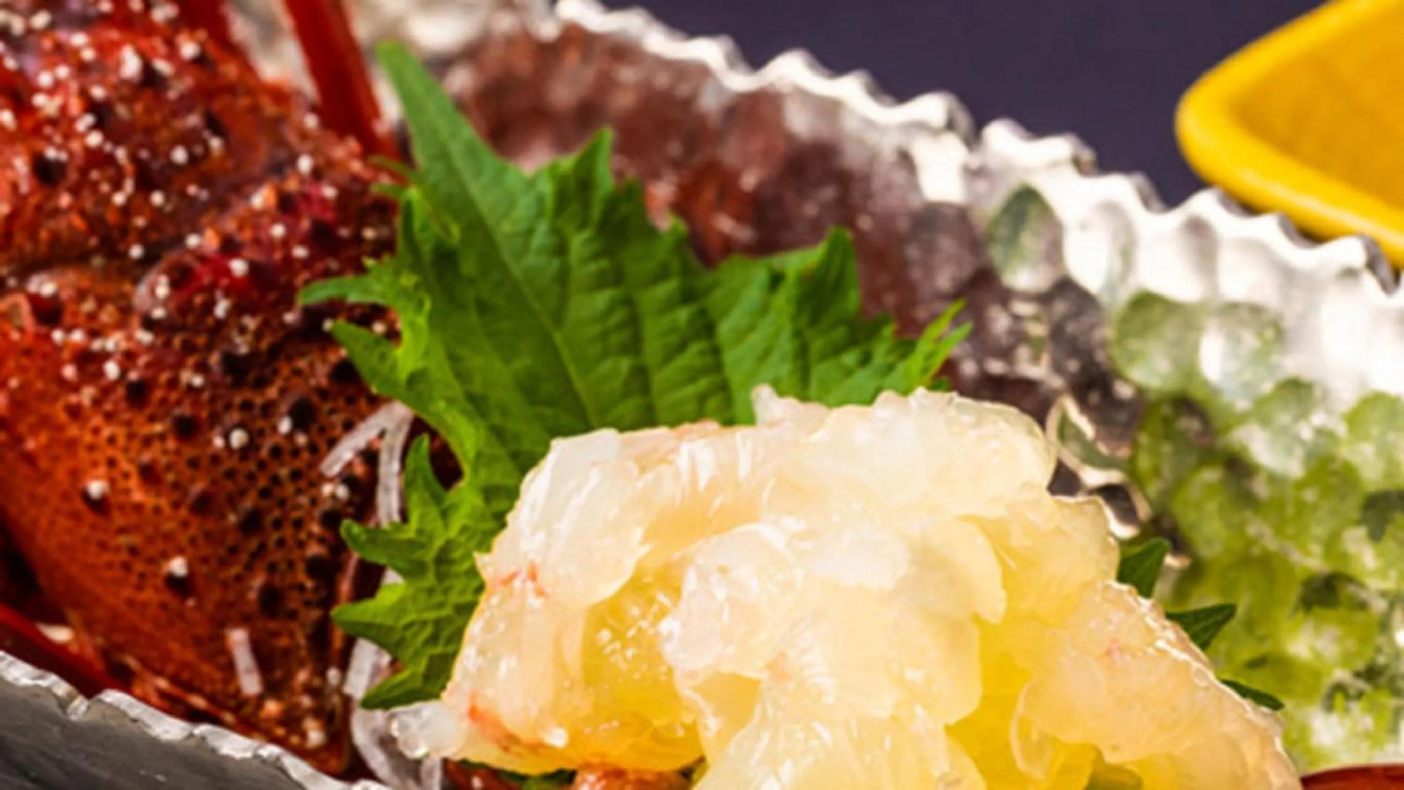 Kyukamura Minami-Izu