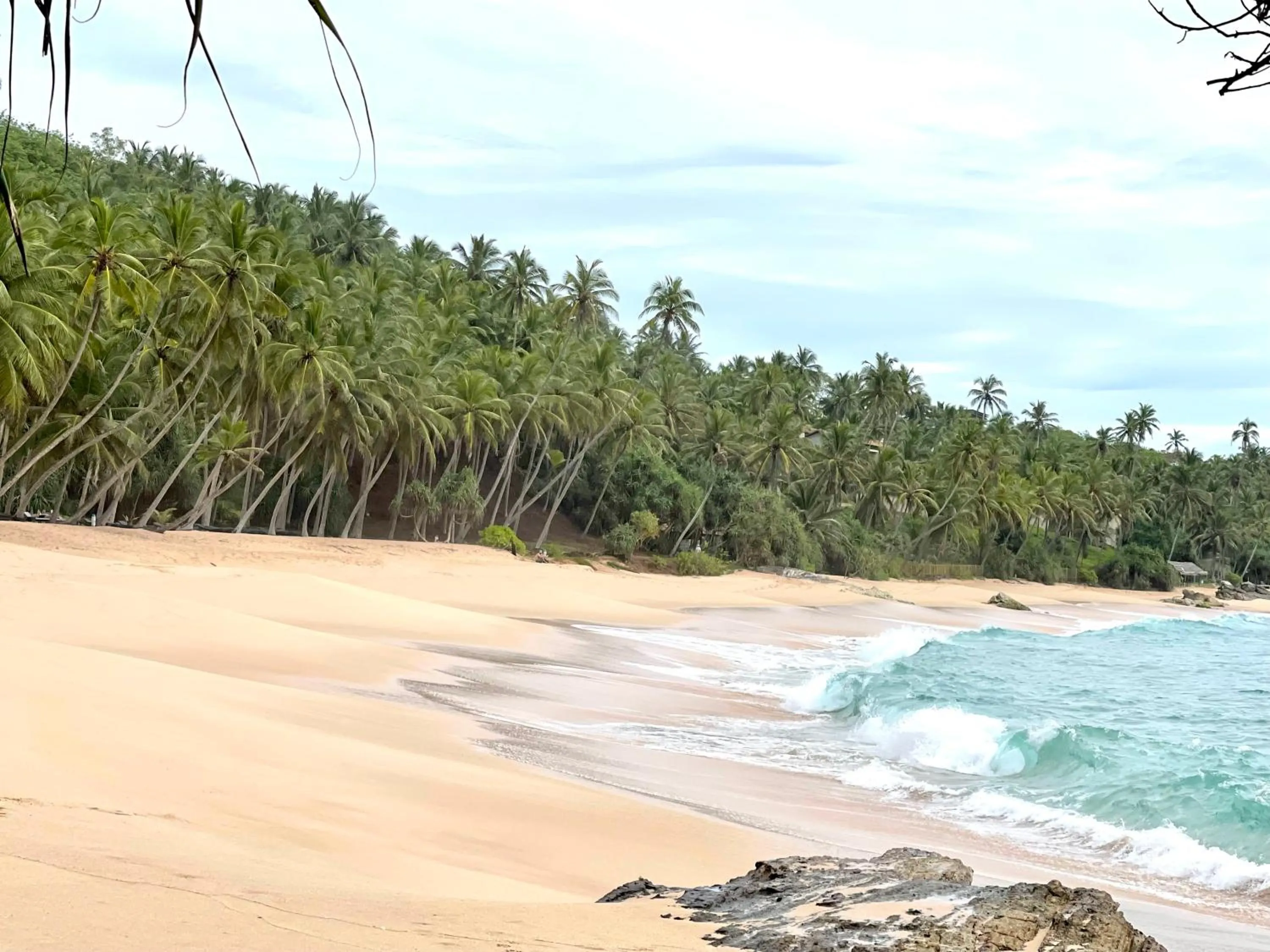 Natural landscape in D' Art VILLA RETREAT AND SPA