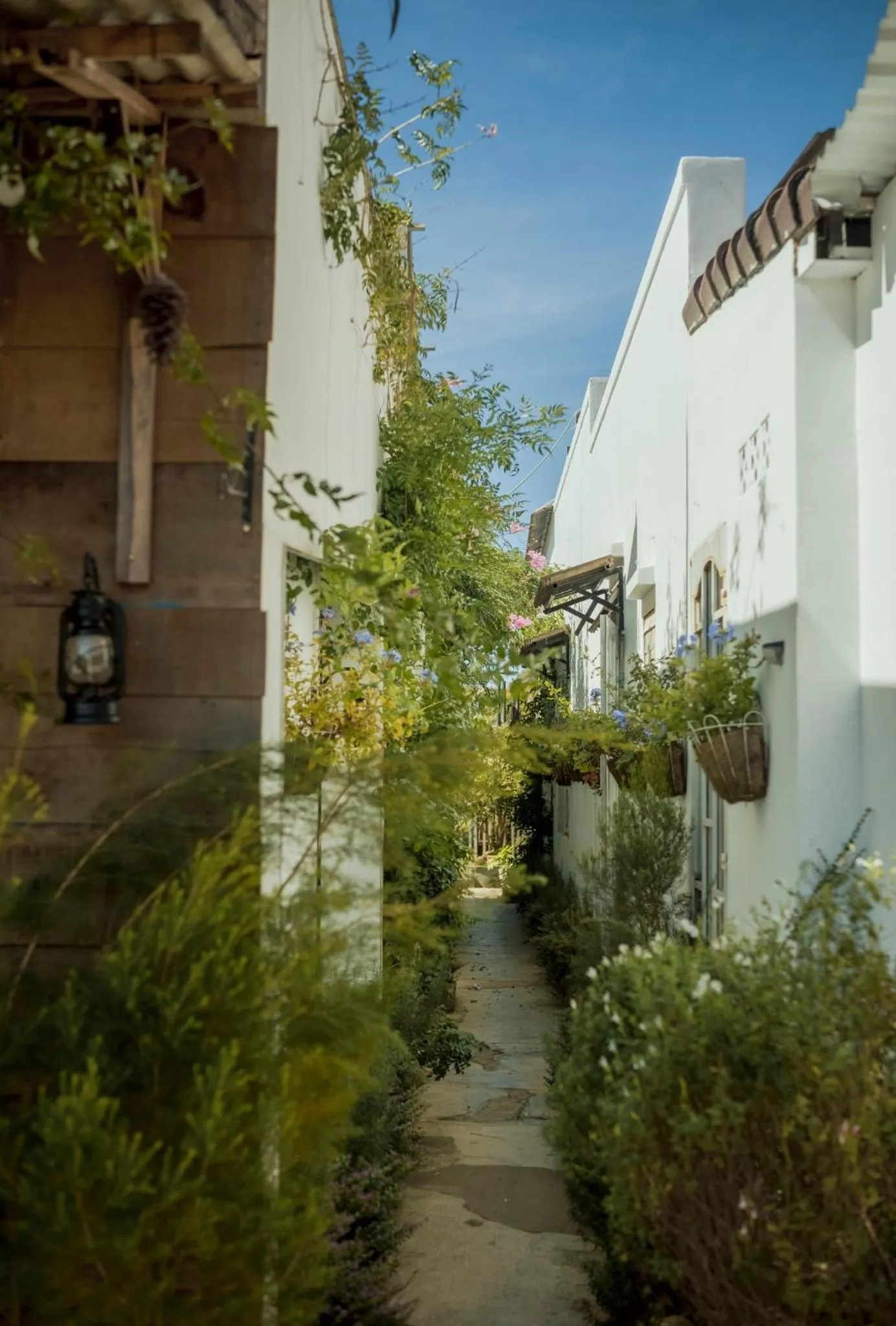 Day in Lengkeng Da Lat Homestay