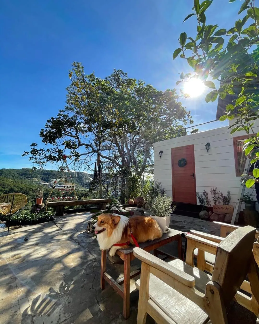 Property building in Lengkeng Da Lat Homestay