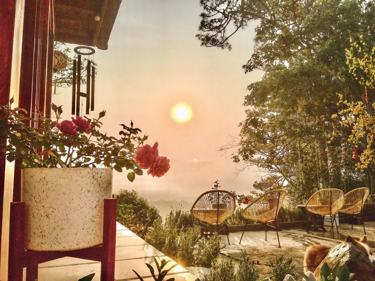 Natural landscape in Lengkeng Da Lat Homestay