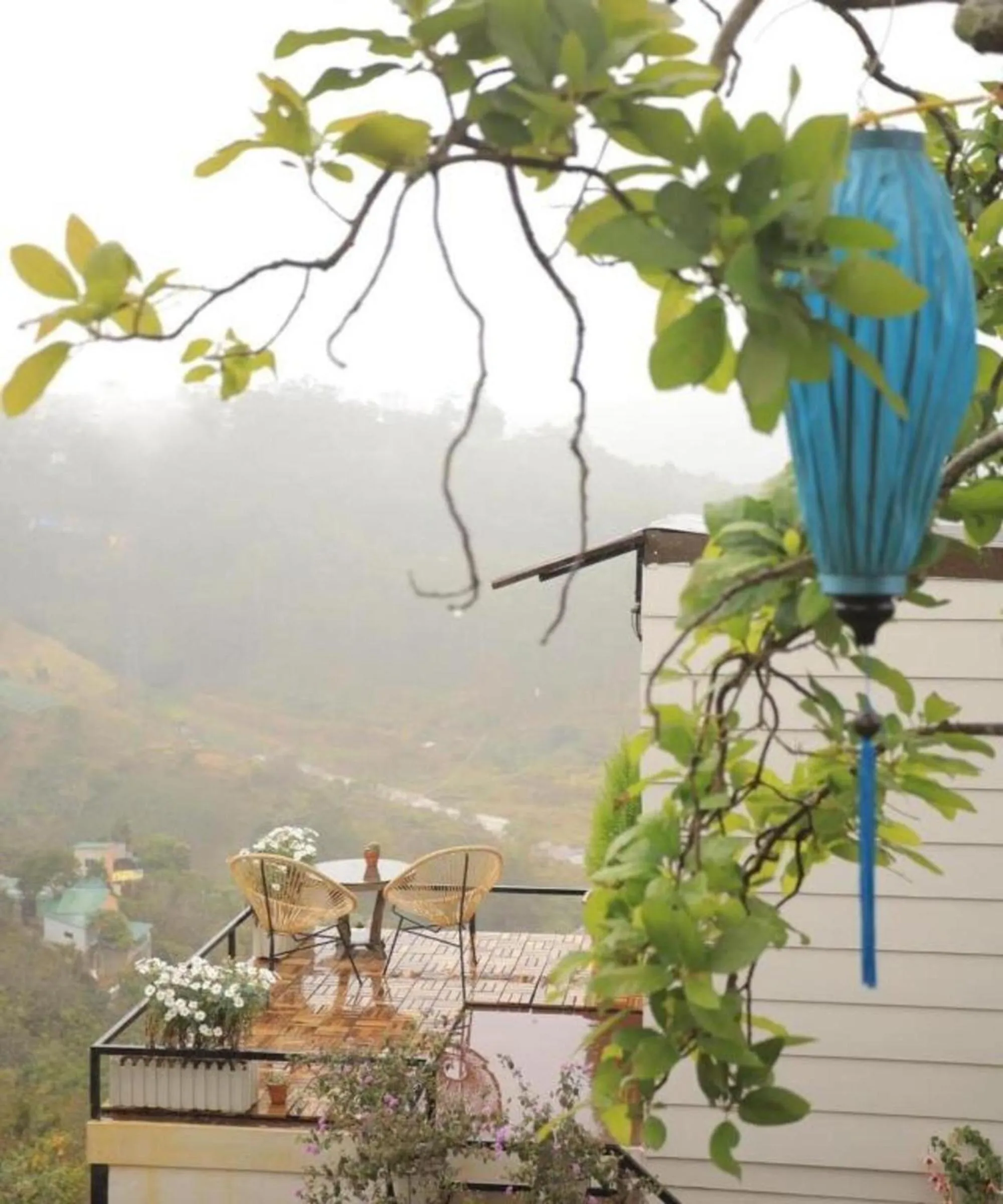 View (from property/room) in Lengkeng Da Lat Homestay