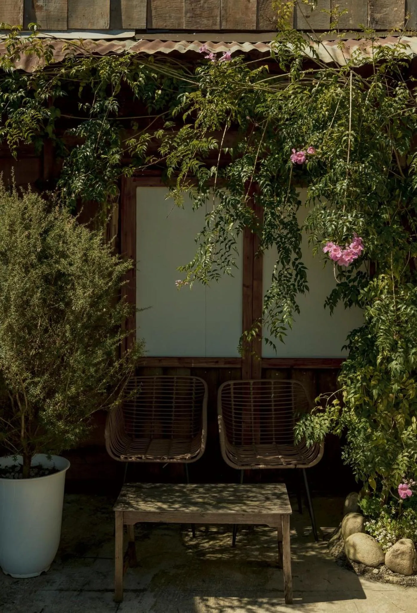 Spring in Lengkeng Da Lat Homestay