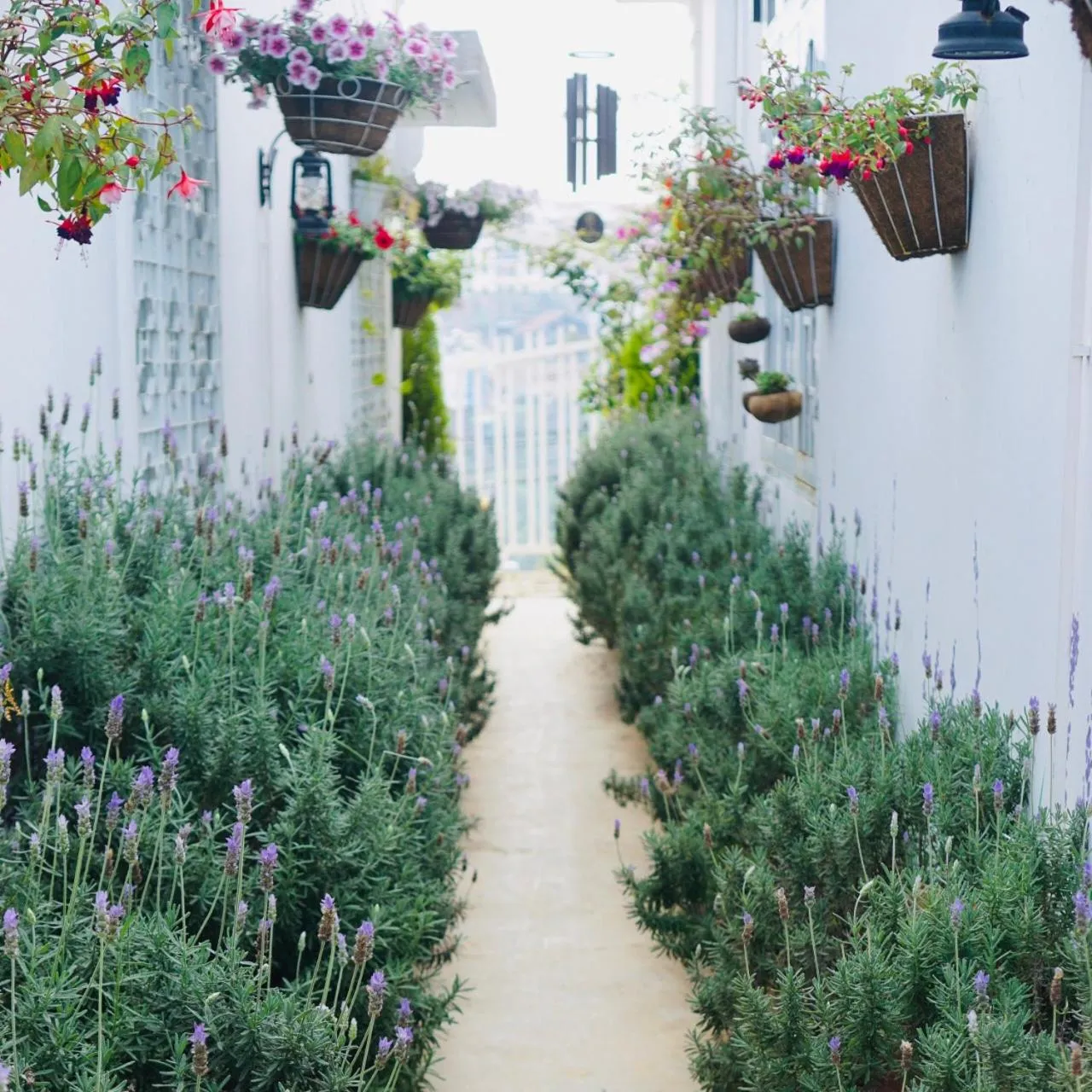 Day in Lengkeng Da Lat Homestay