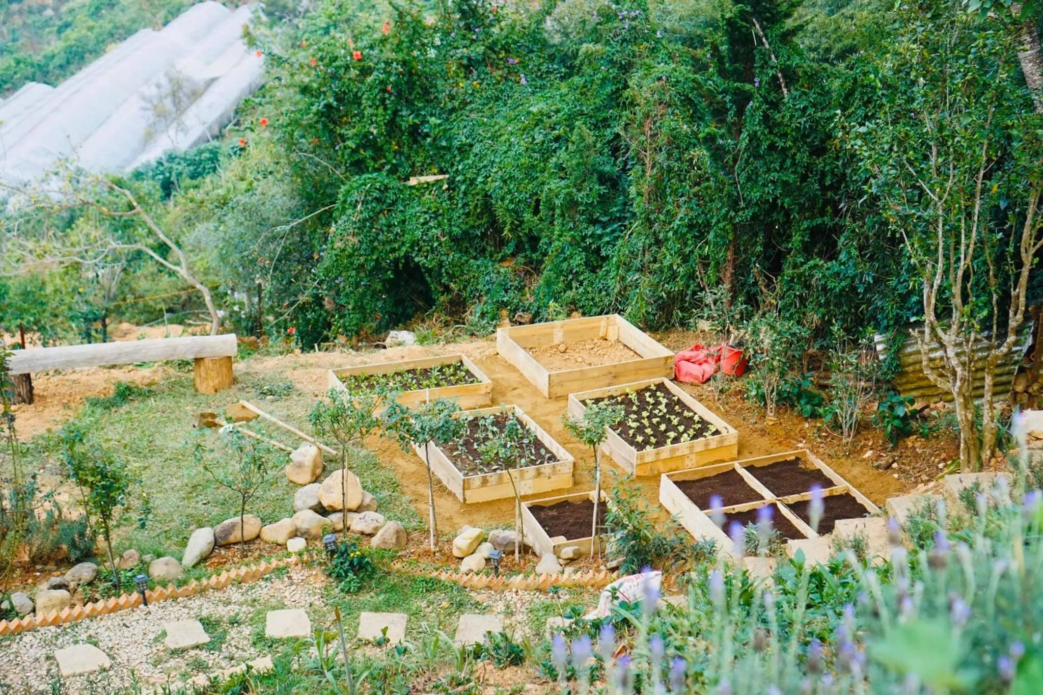 Children play ground in Lengkeng Da Lat Homestay