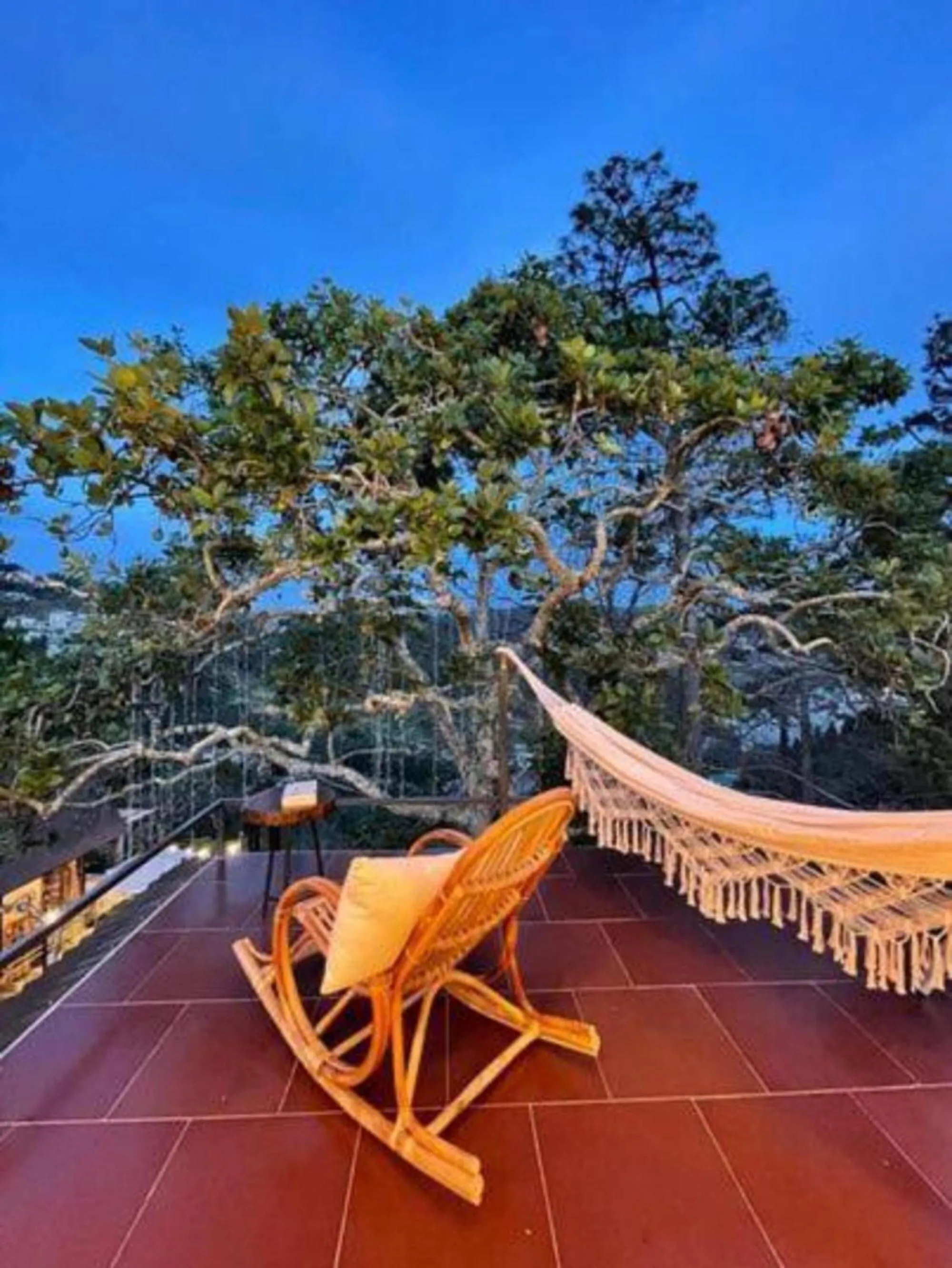 Day in Lengkeng Da Lat Homestay