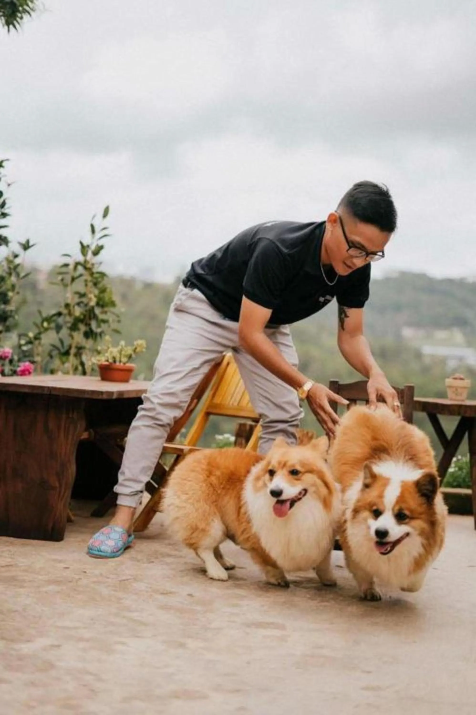 Pets in Lengkeng Da Lat Homestay