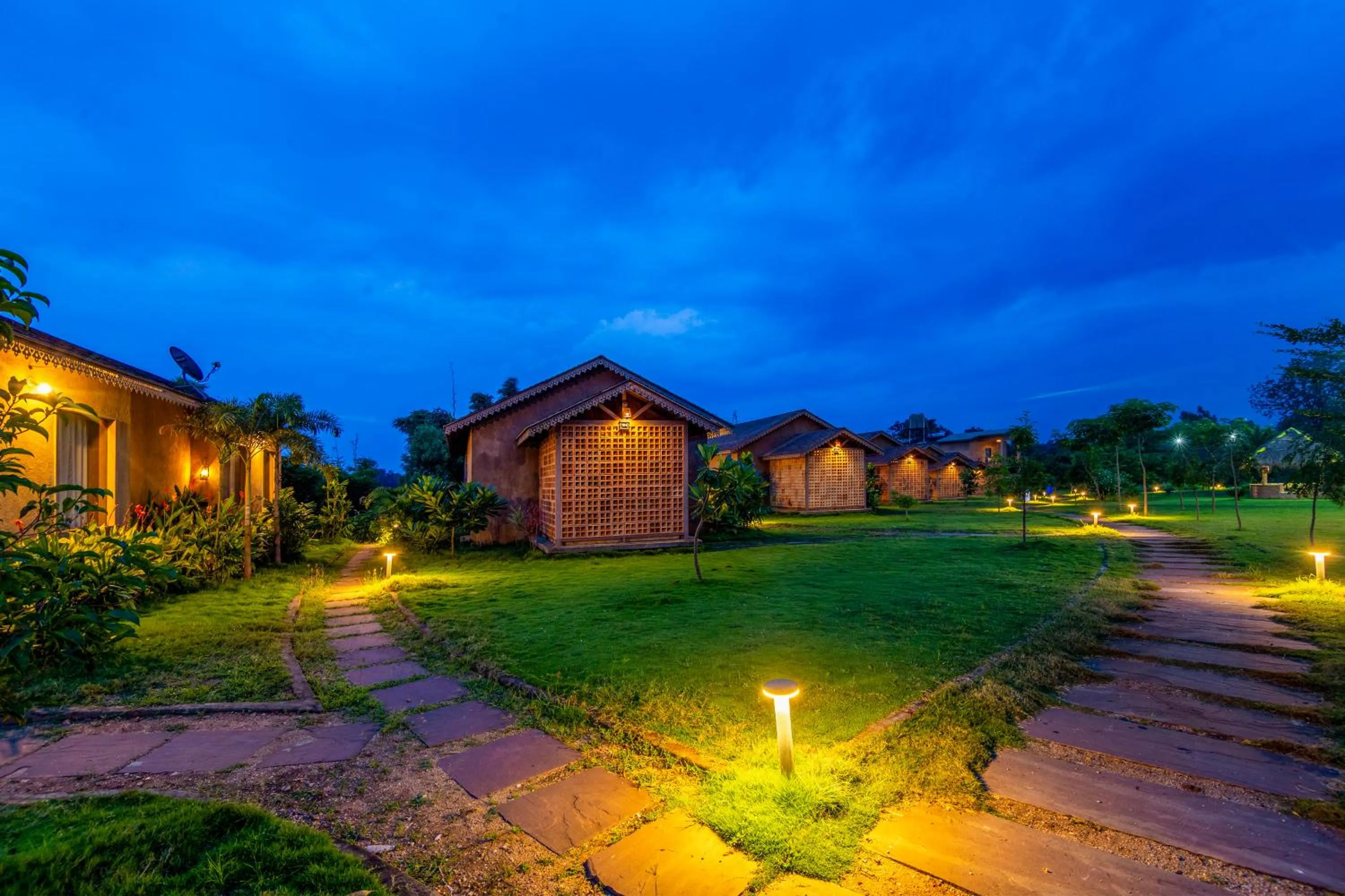 Night in Sterling Orient Woods Pench