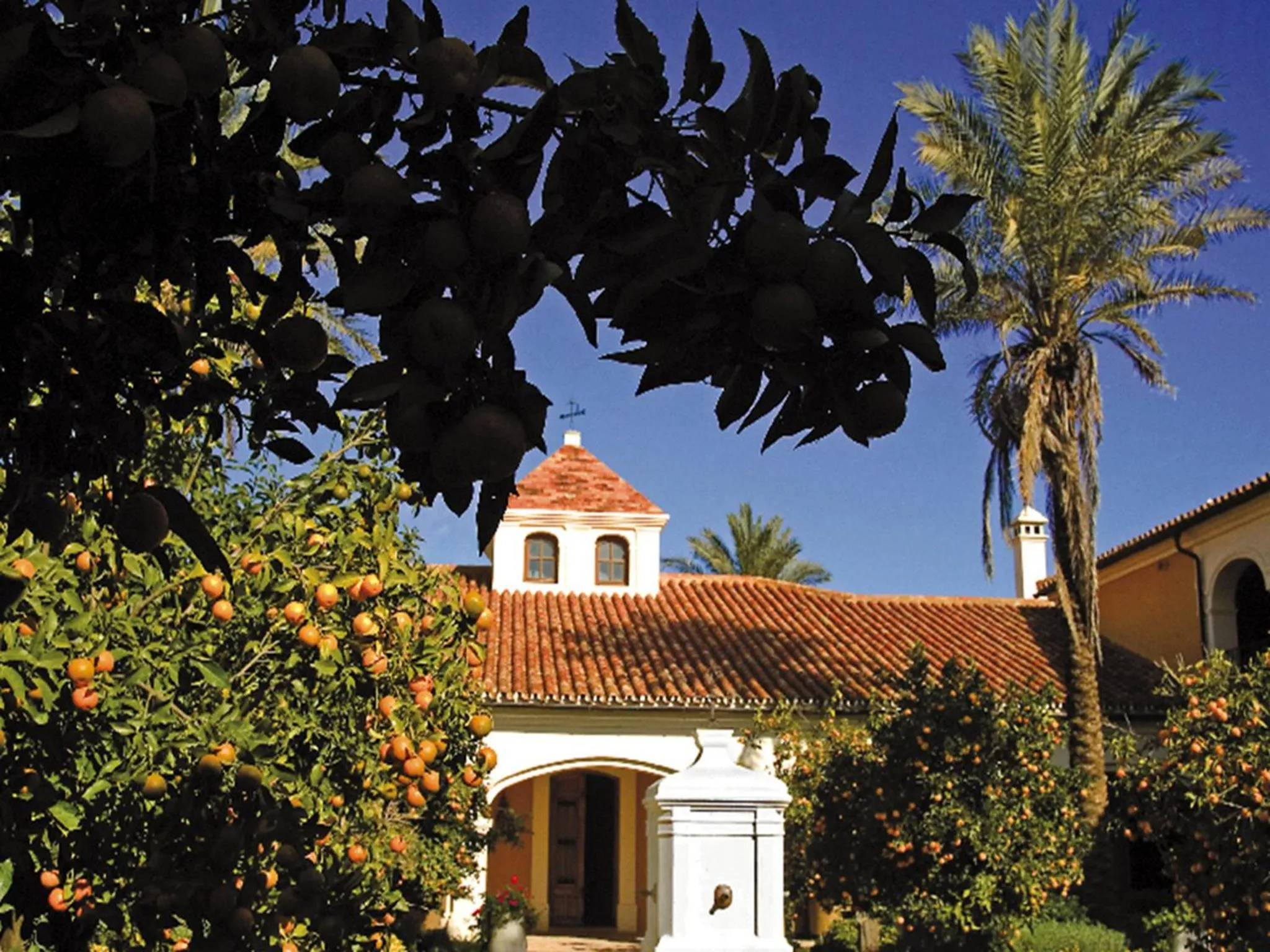Garden in Finca Monasterio