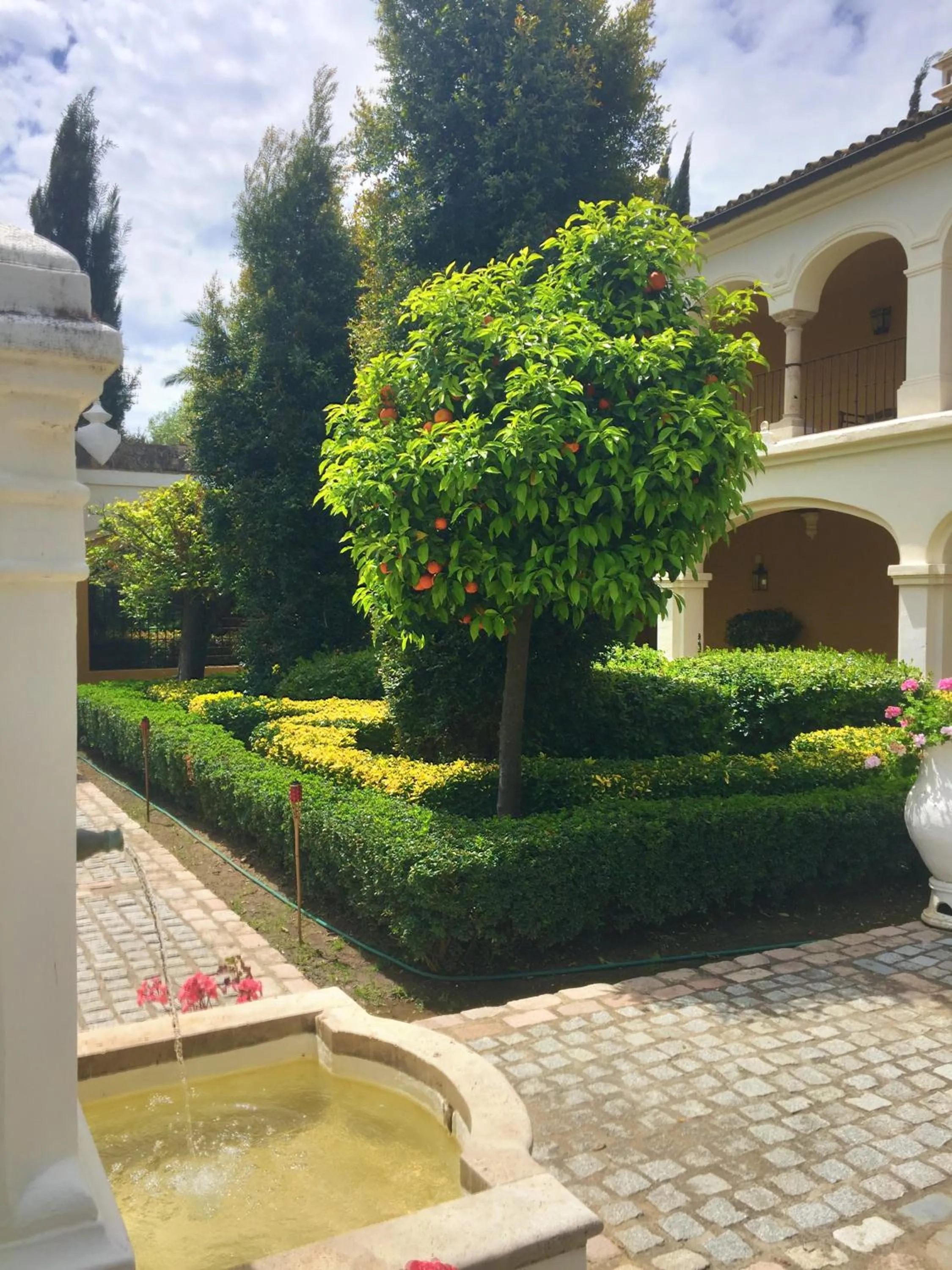 Garden in Finca Monasterio