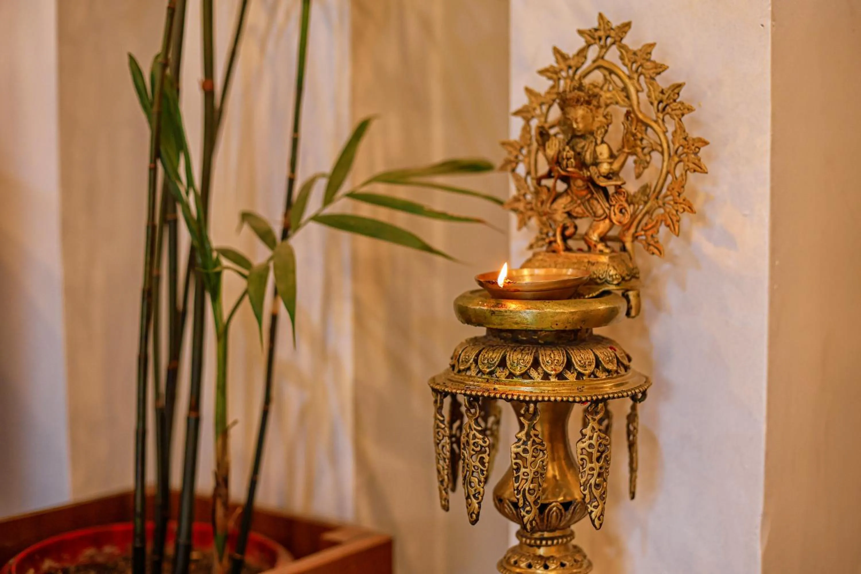 Bharatpur Garden Resort