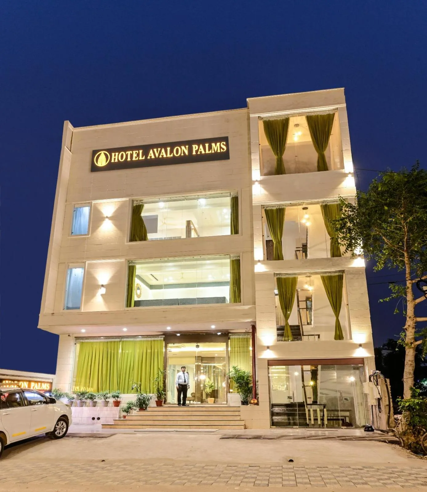 Hotel Avalon Palms Agra