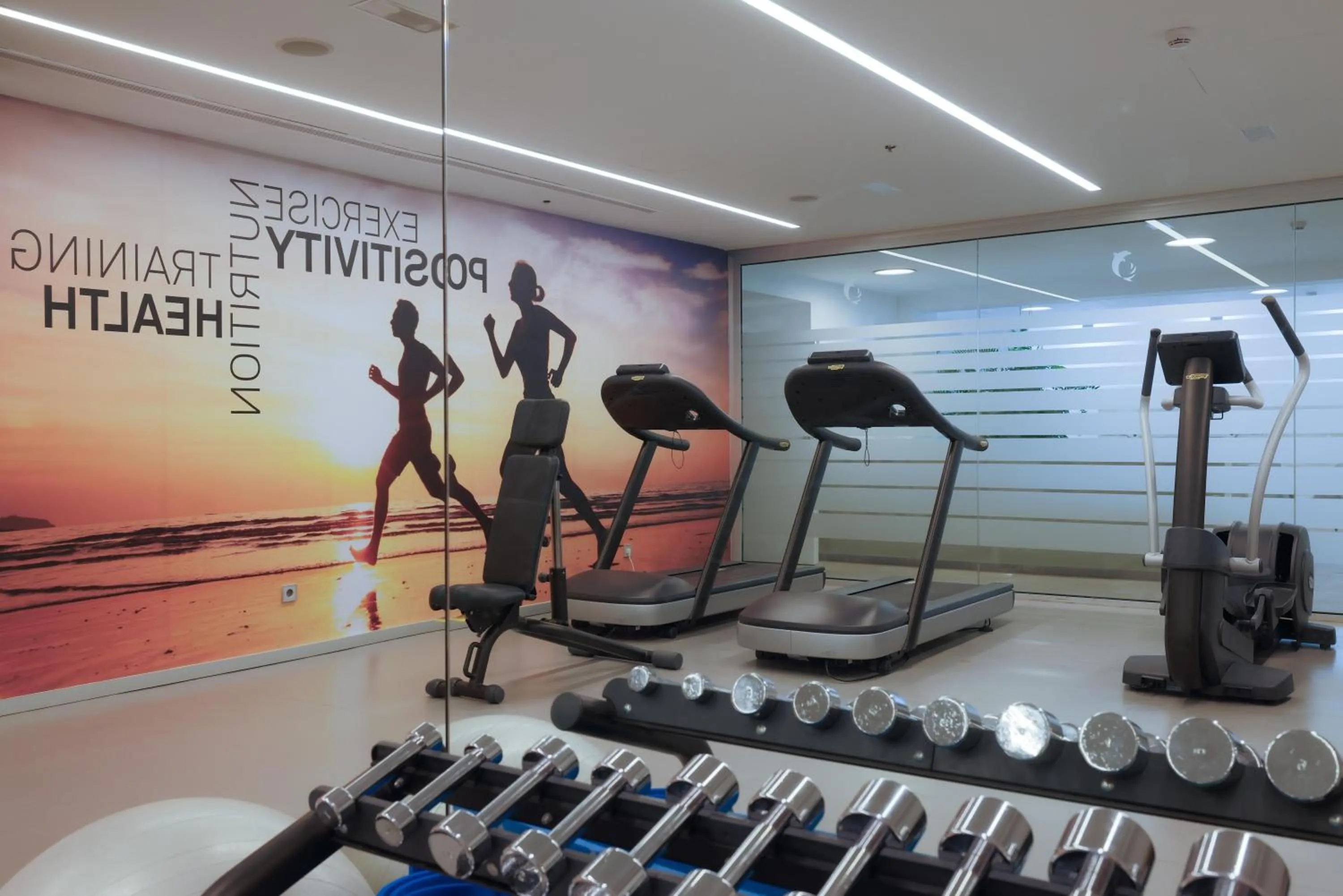 Activities in Don Gregory by Dunas - Adults Only