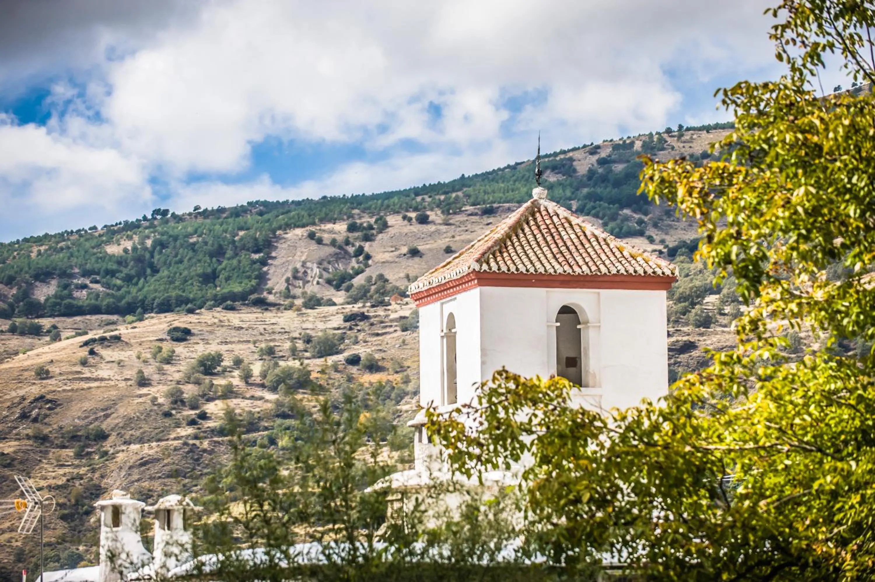 Natural landscape in Finca Los Llanos