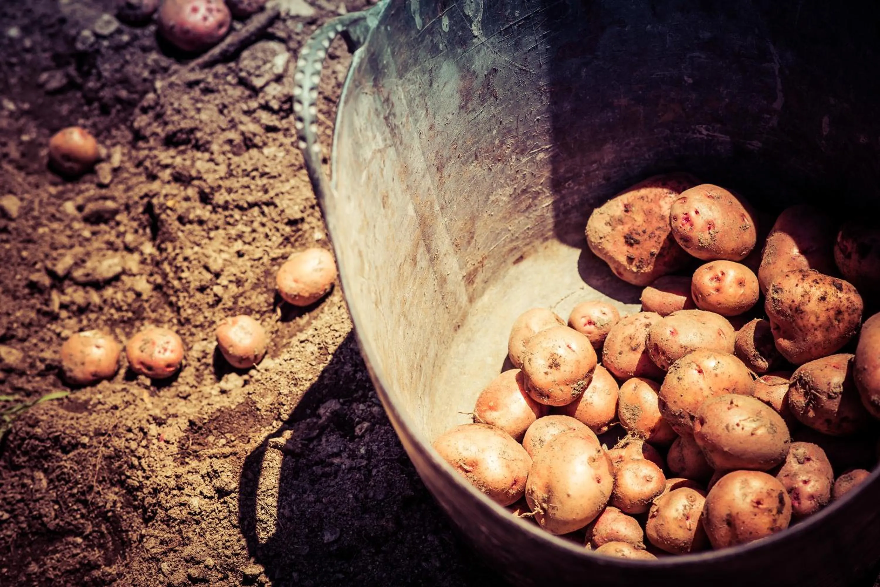 Other in Finca Los Llanos