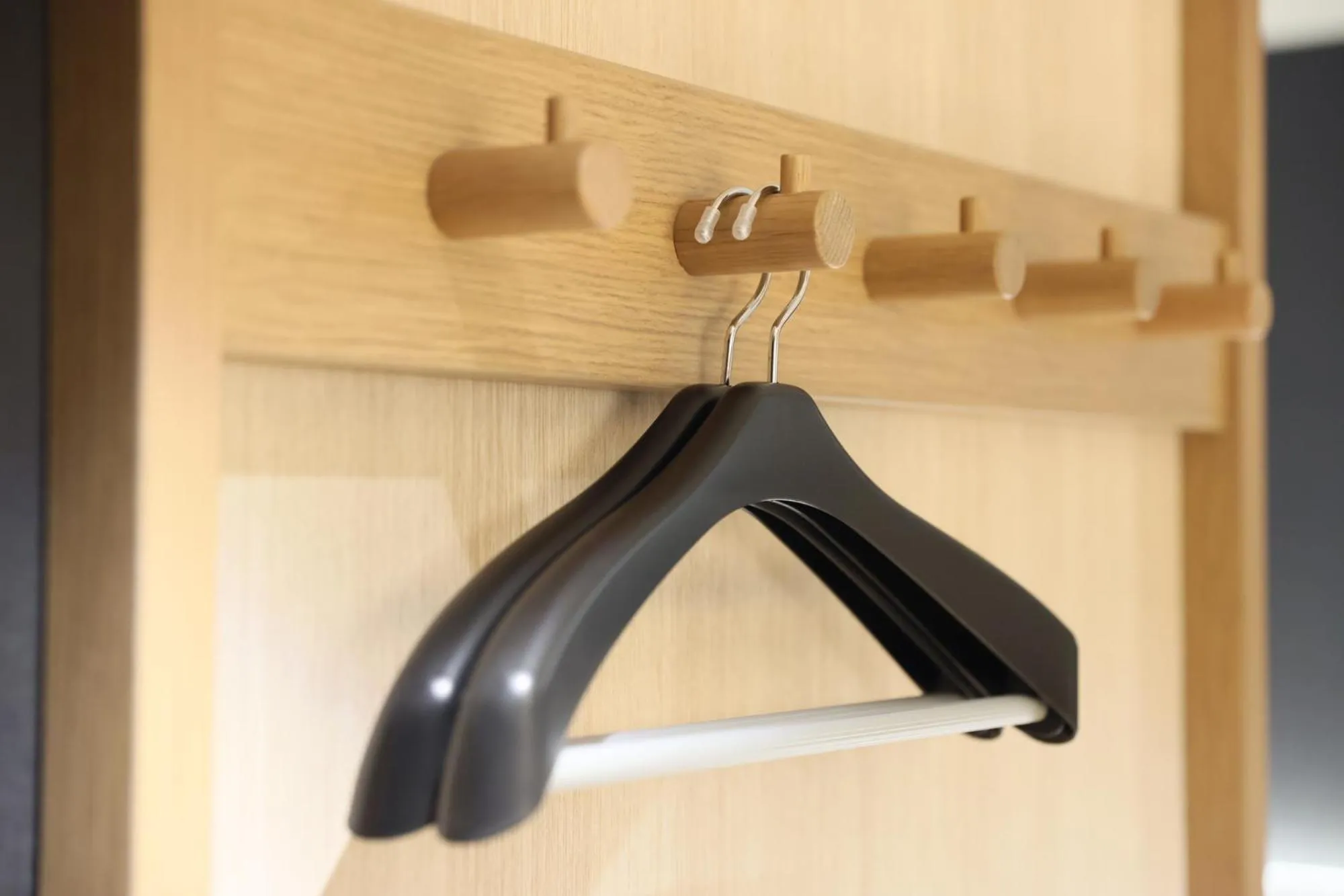 Photo of the whole room in N Plus Hotel Akihabara