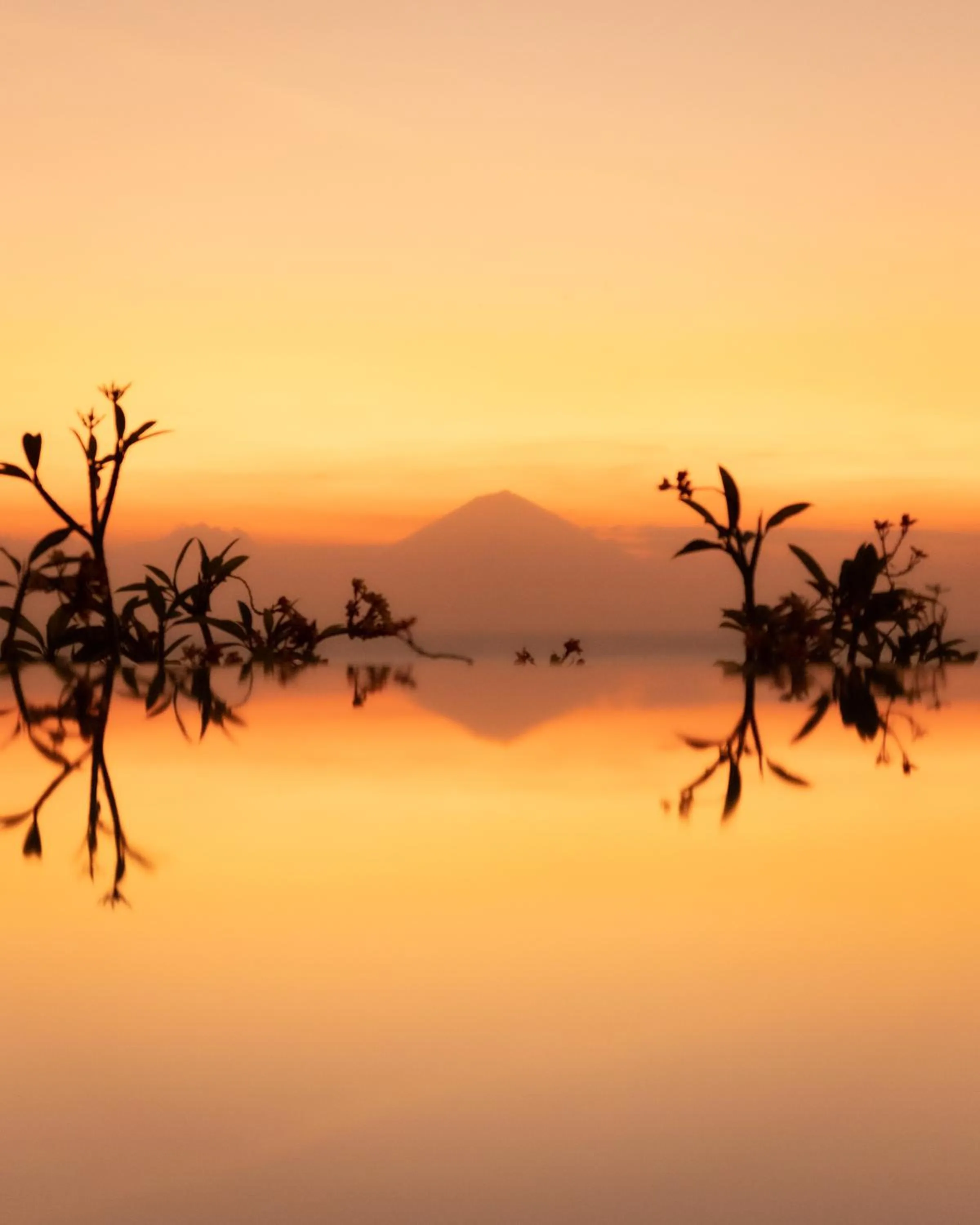 View (from property/room) in Villa Wisdome 1 Bedroom