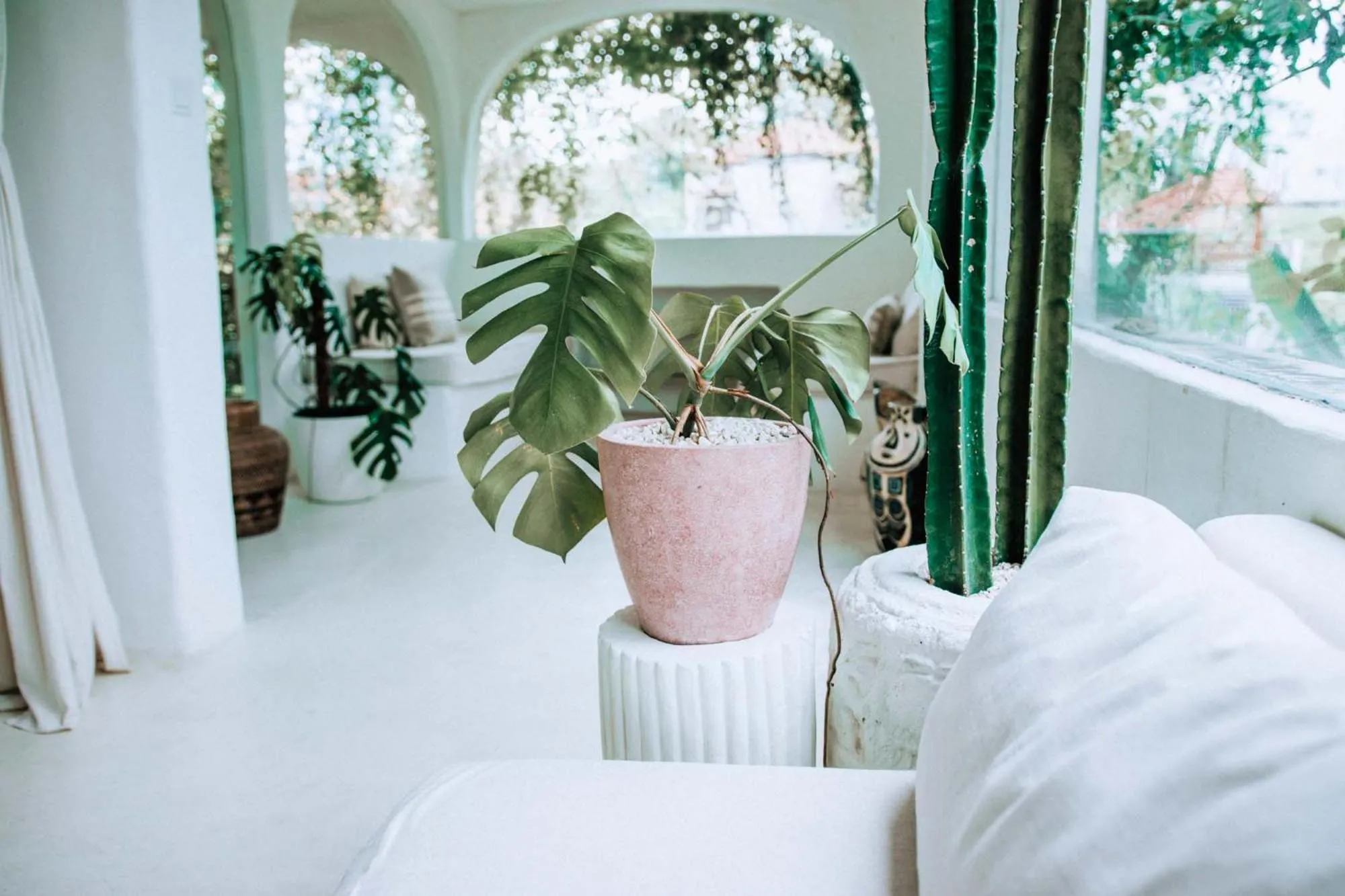 View (from property/room), Bed in Hotel Sages