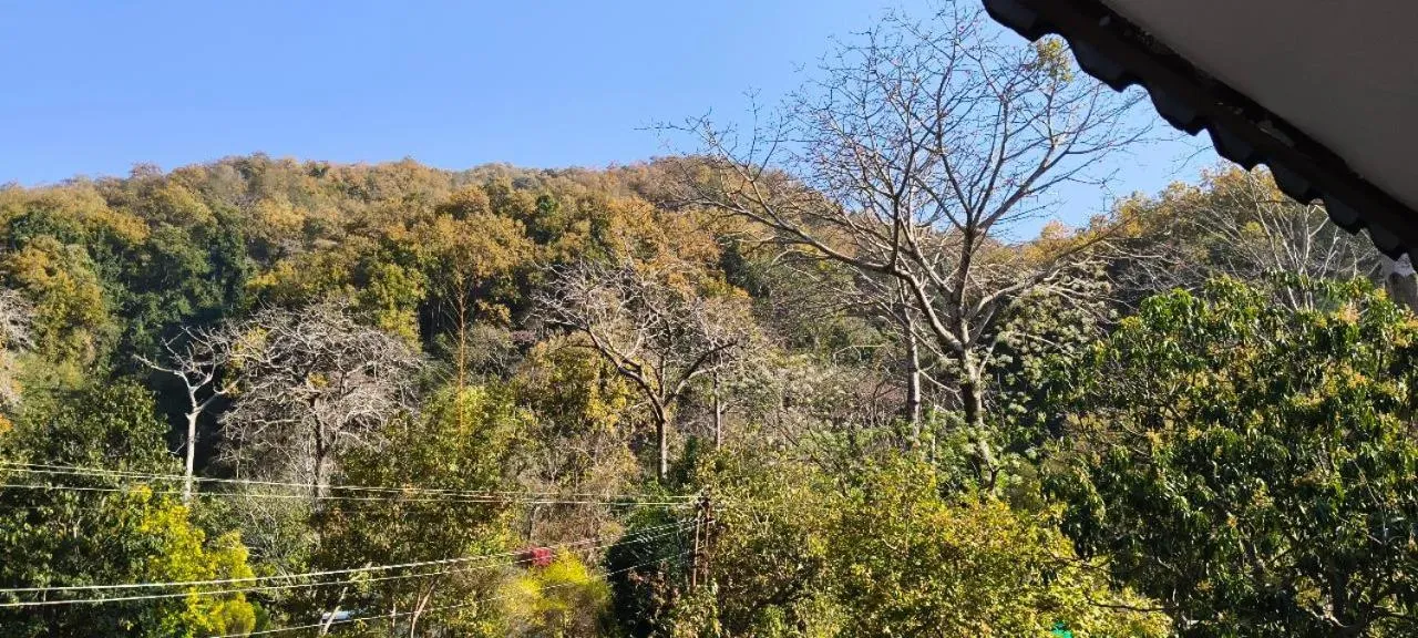 WelcomHeritage Tarangi Ramganga Resort