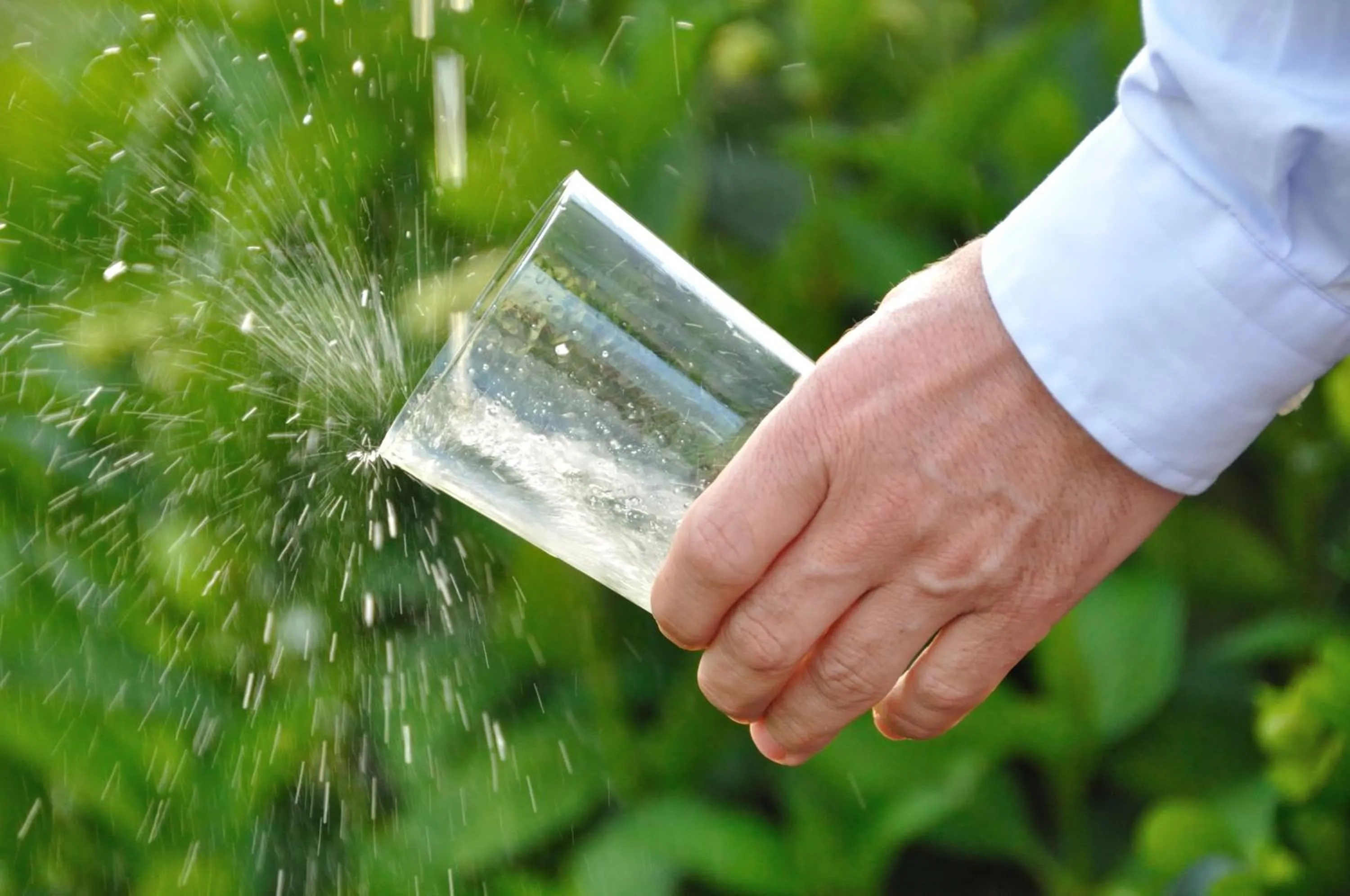 Restaurant/places to eat in Hotel Puerta Del Oriente