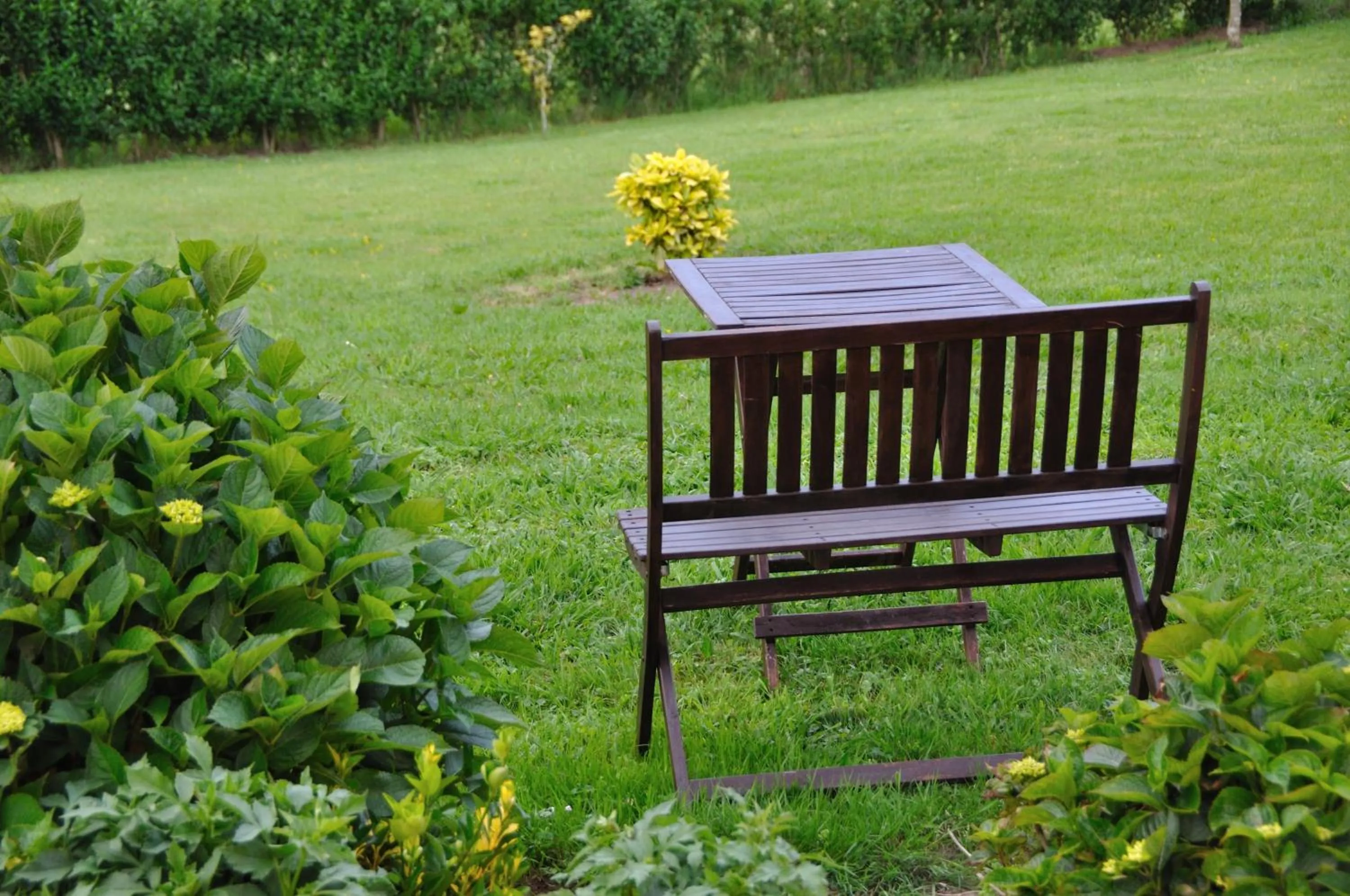 Garden in Hotel Puerta Del Oriente