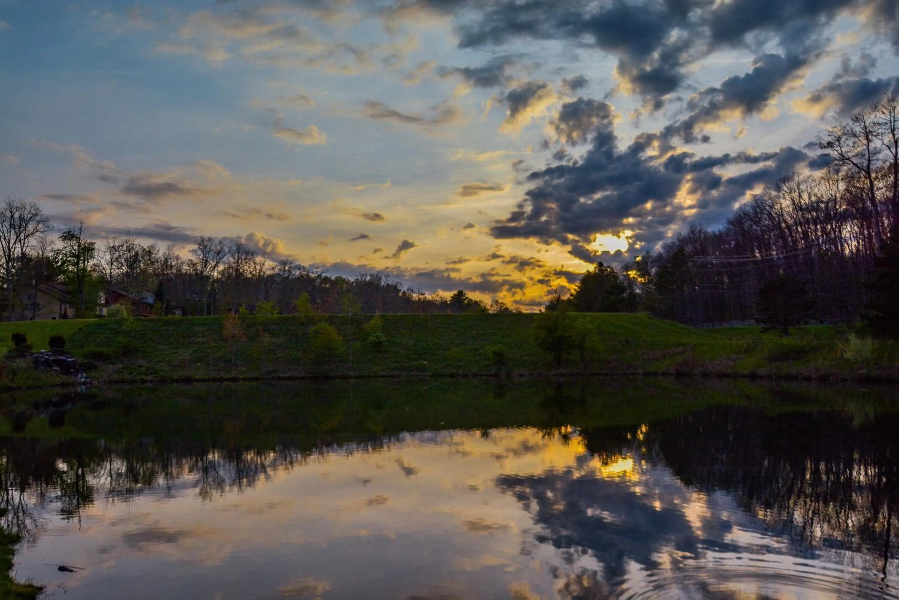 Property building in Forever Young