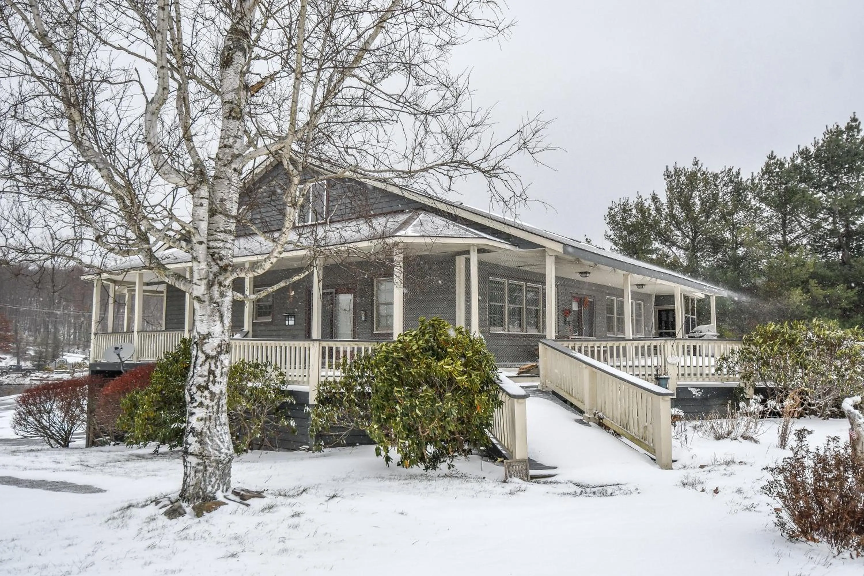 Property building in Forever Young