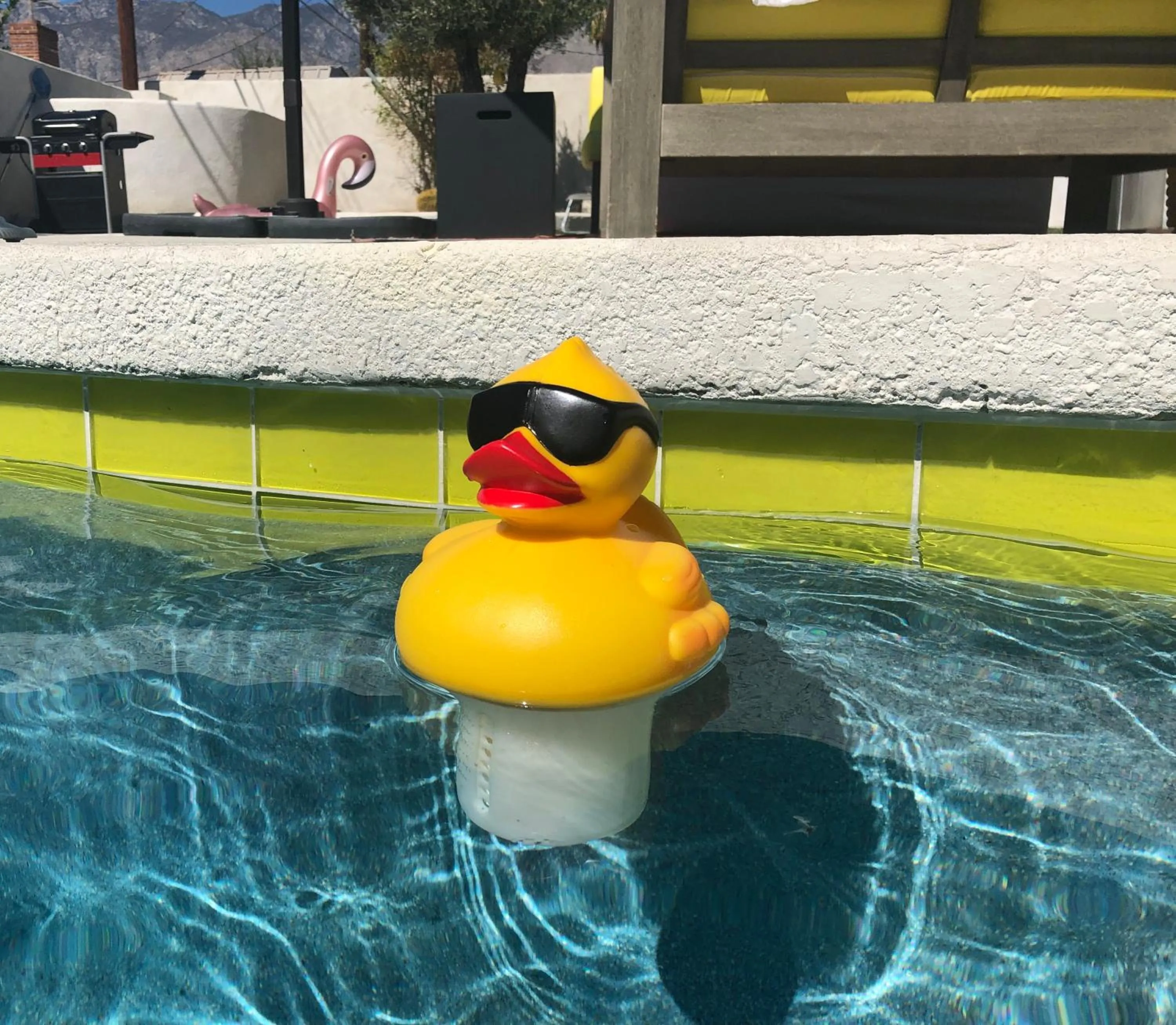 Amarillo House - Luxury Home with Pool & Spa