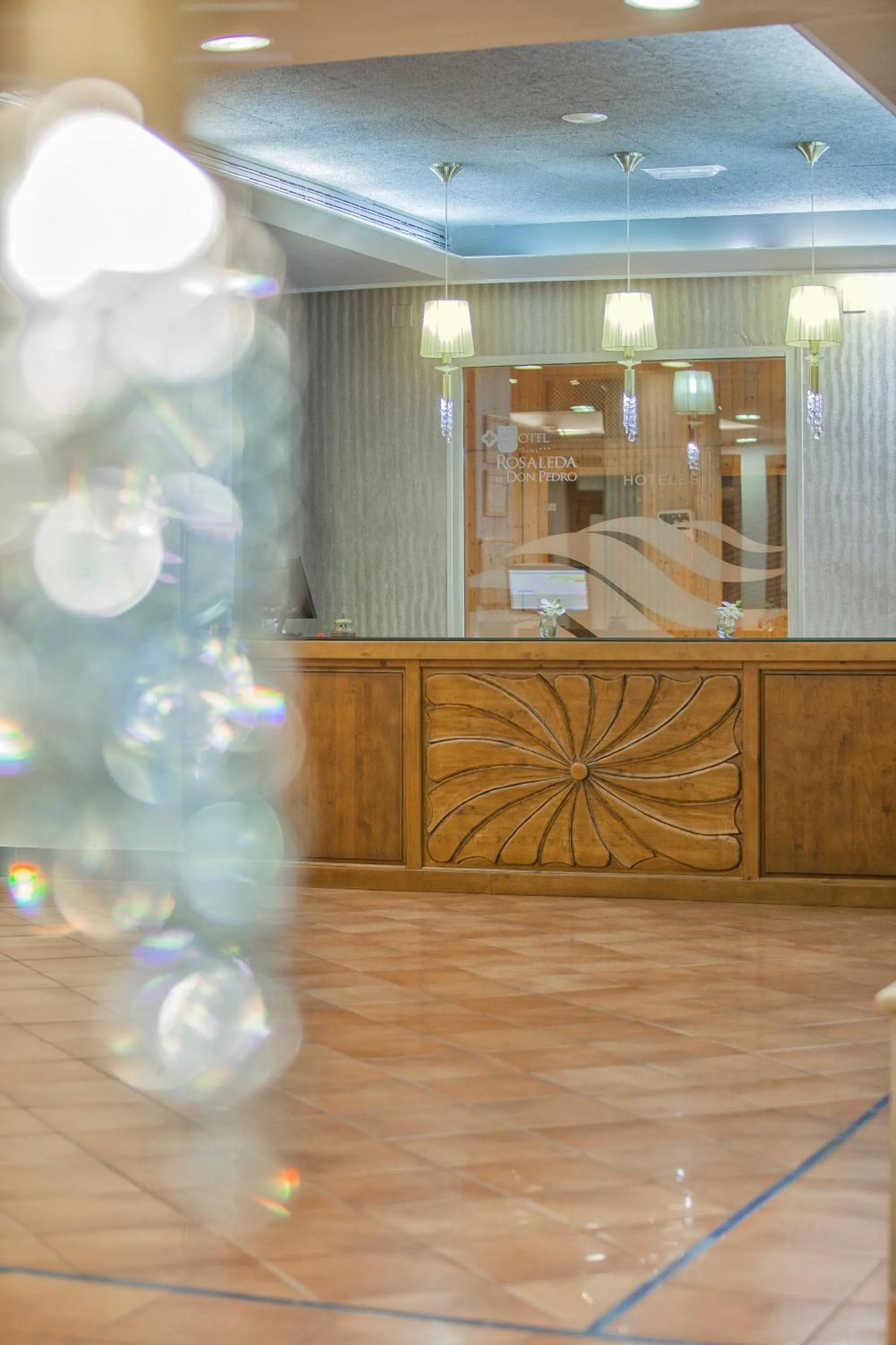 Lobby or reception in Hotel Rosaleda Don Pedro