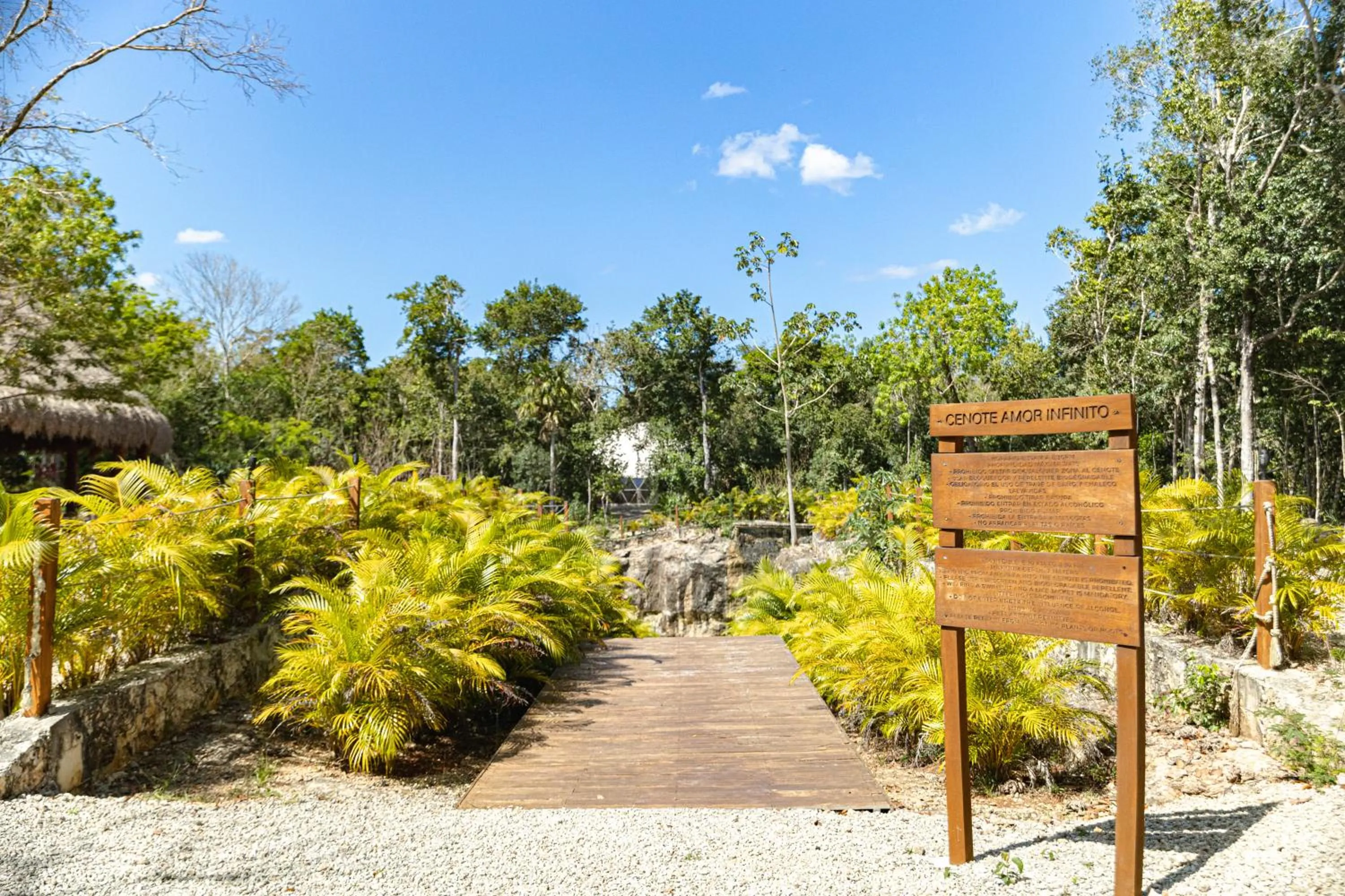Natural landscape in Alma Maya Resort - Riviera Maya
