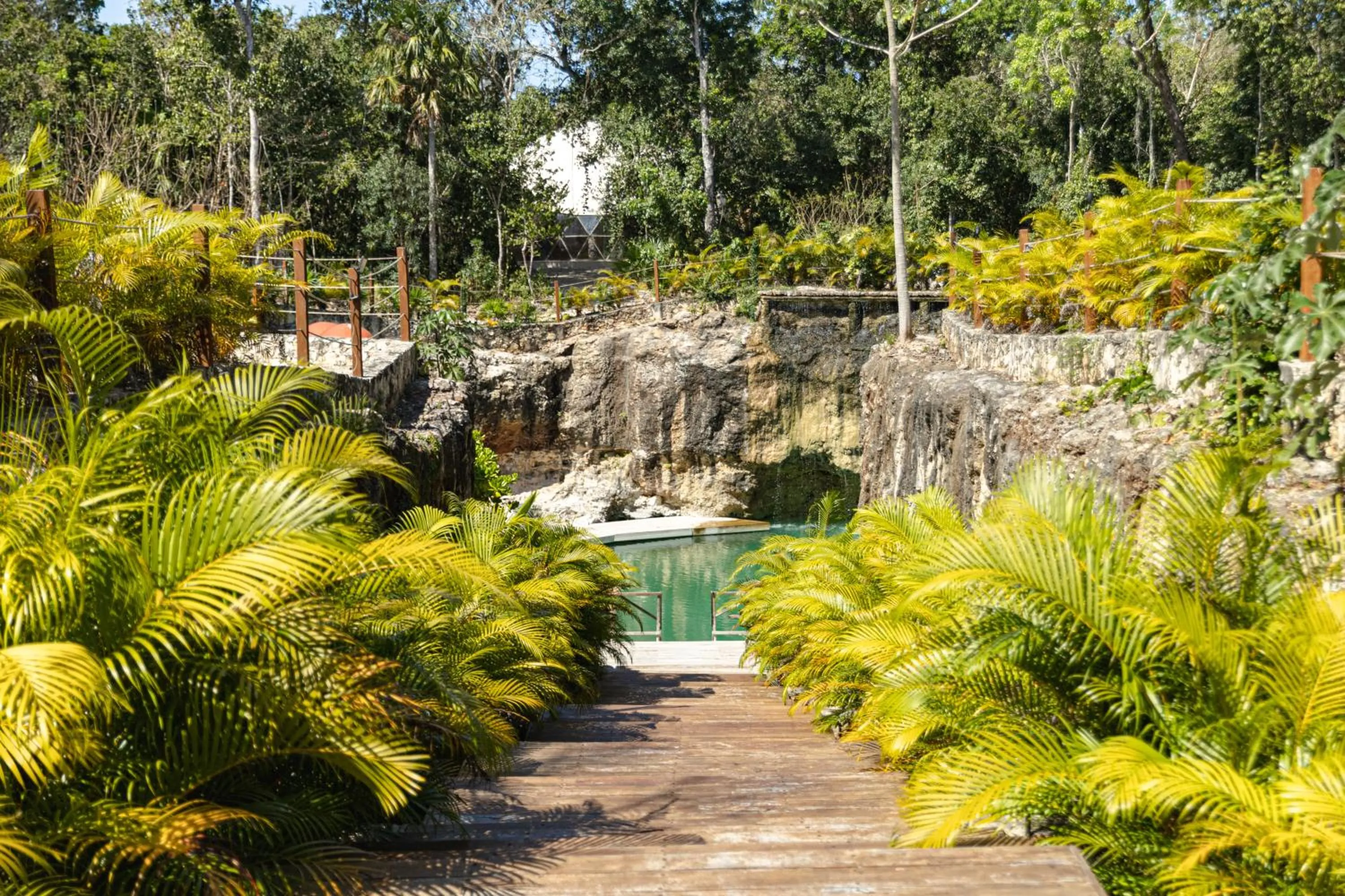 Natural landscape in Alma Maya Resort - Riviera Maya