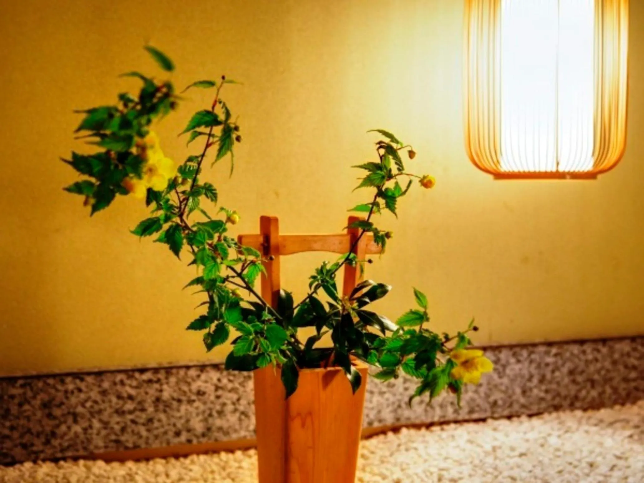 Decorative detail in Kaneyamaen