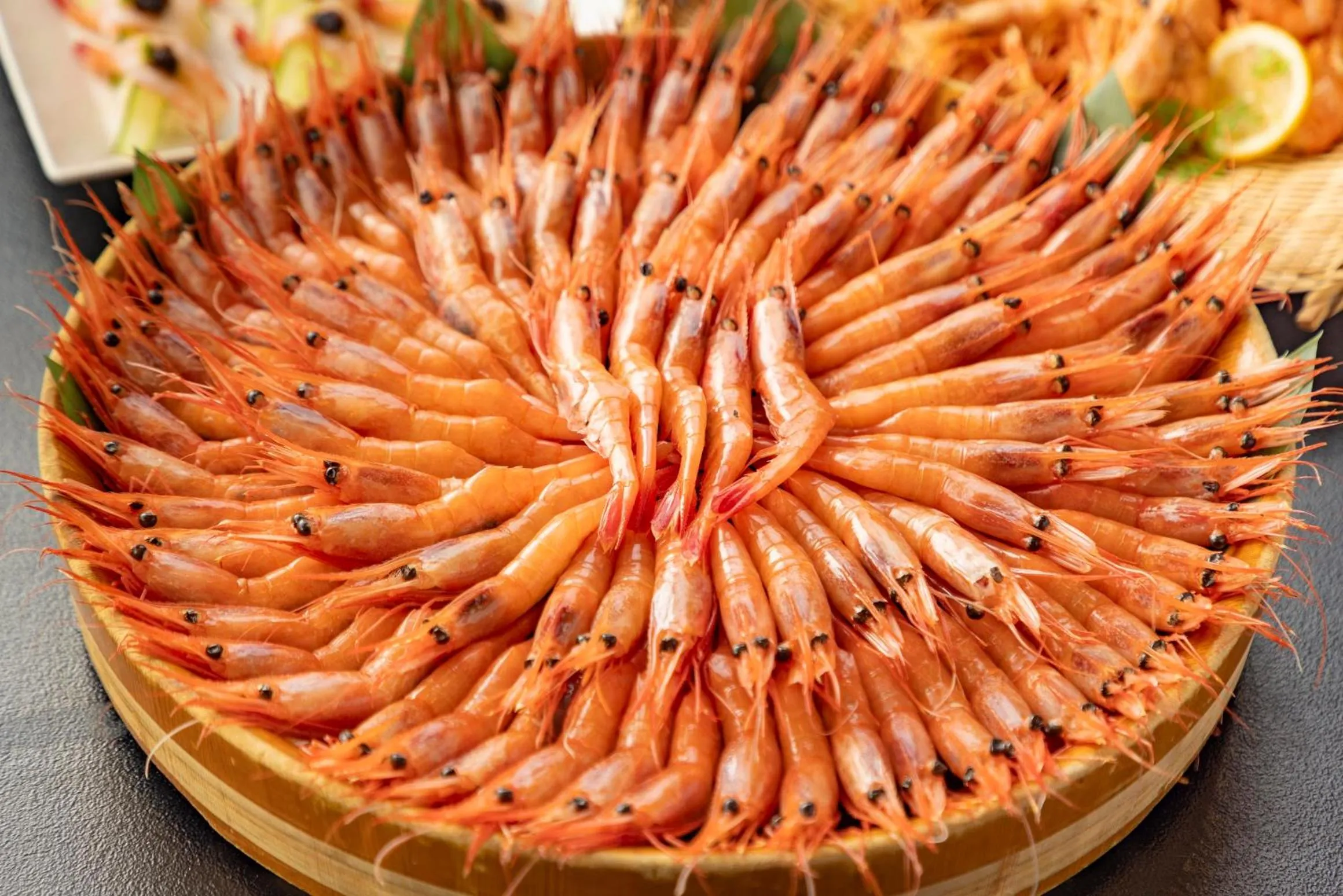 Kyukamura Echizen-Mikuni