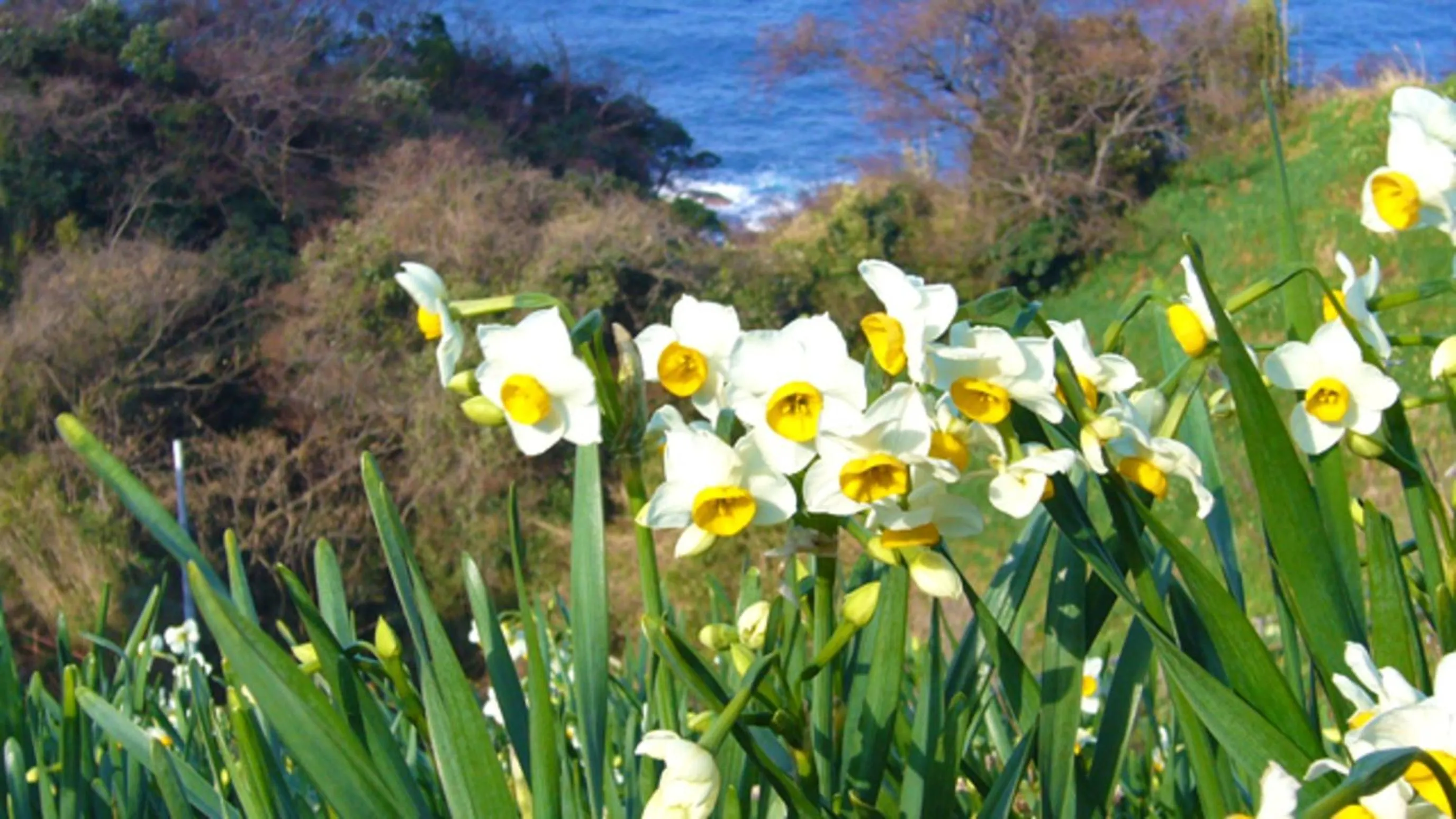 Kyukamura Echizen-Mikuni