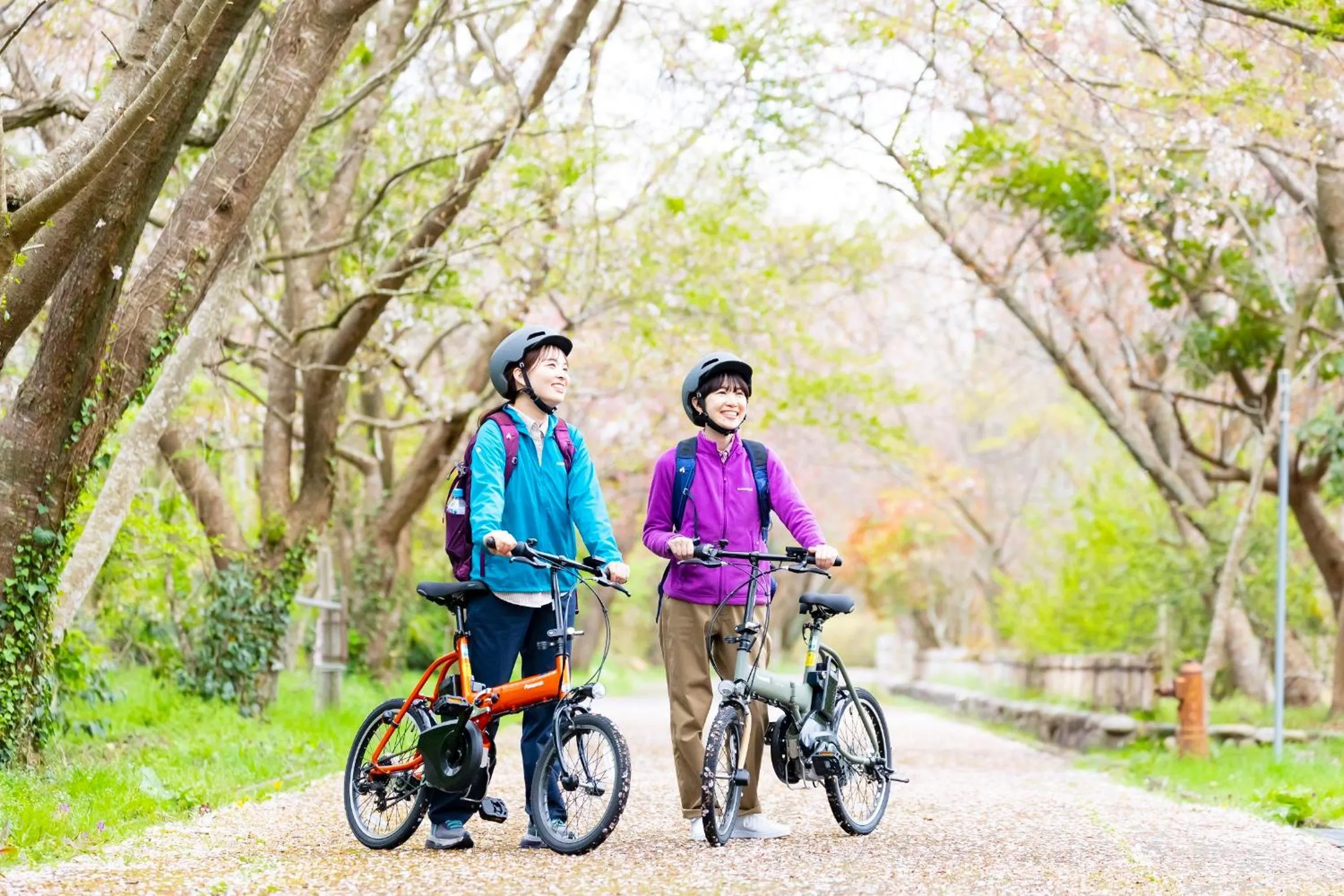 Natural landscape in Kyukamura Echizen-Mikuni