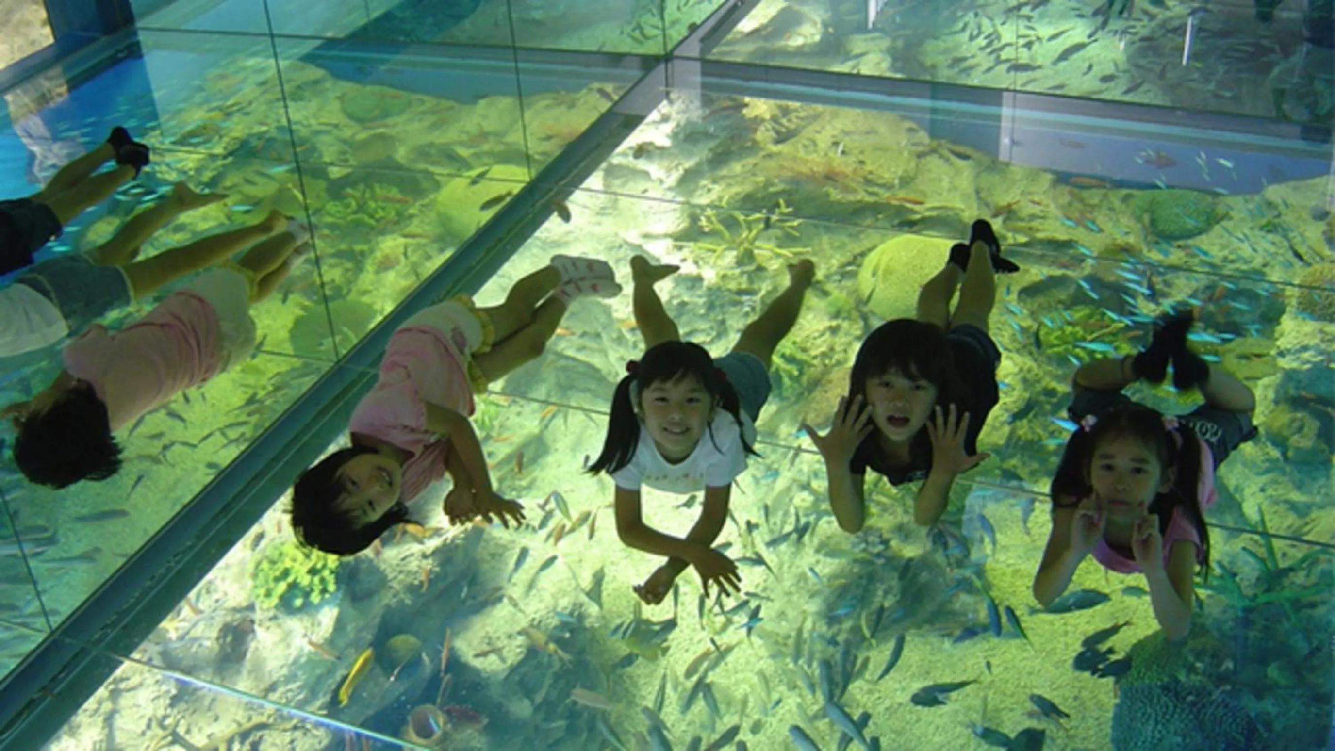 Kyukamura Echizen-Mikuni