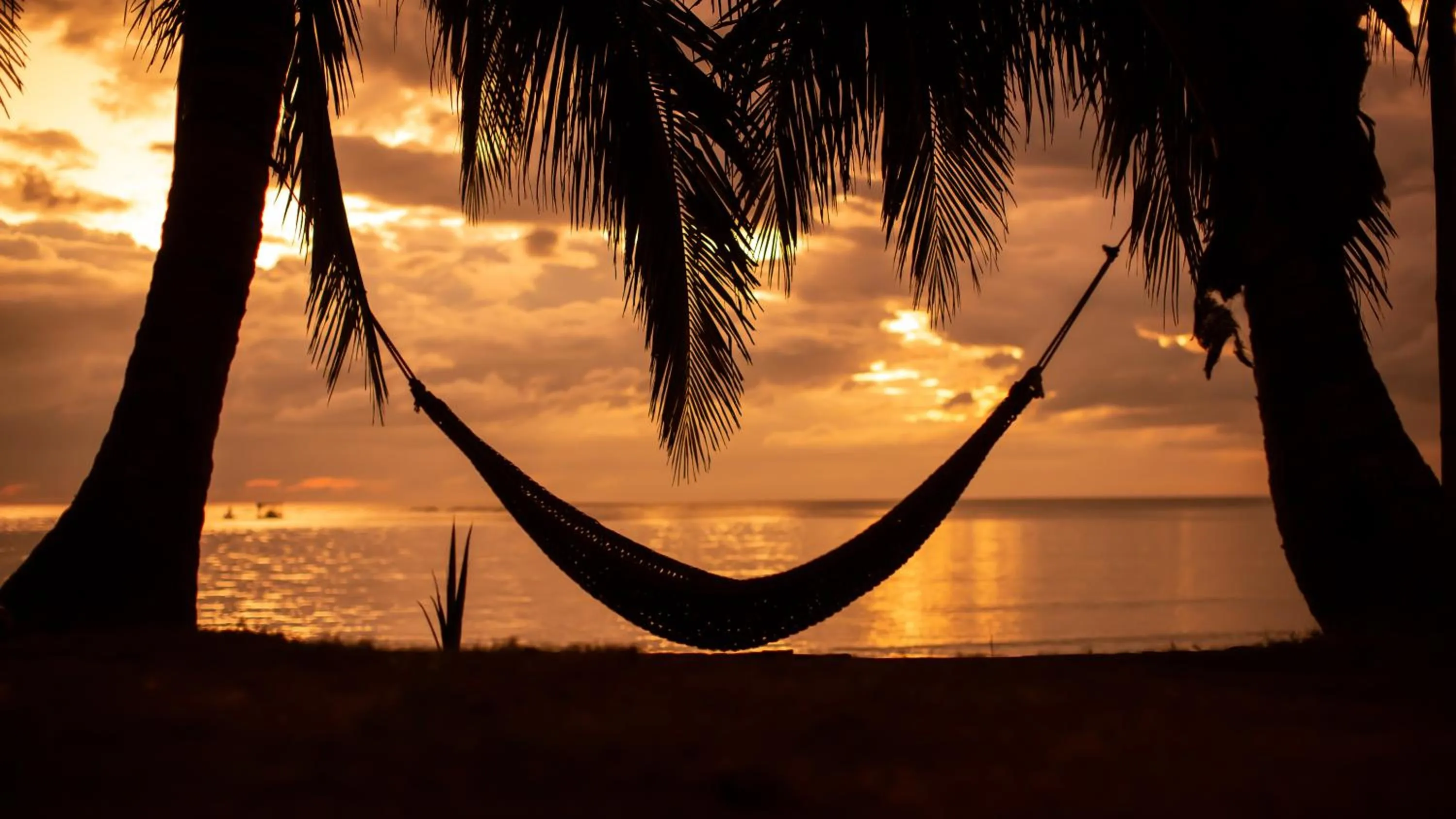 Natural landscape in The Beach House Ocam Ocam