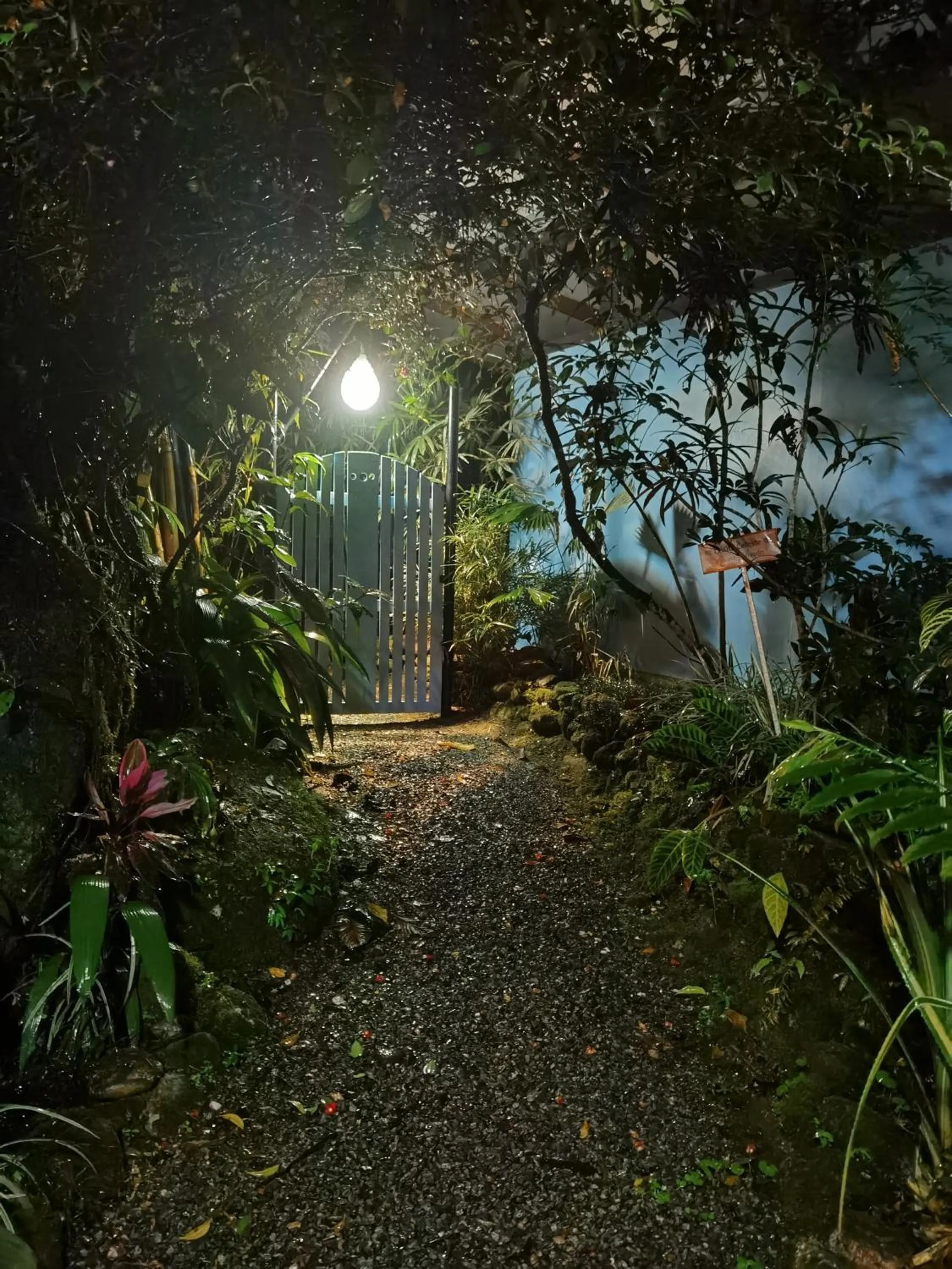 Garden in Chirripo Art Hotel