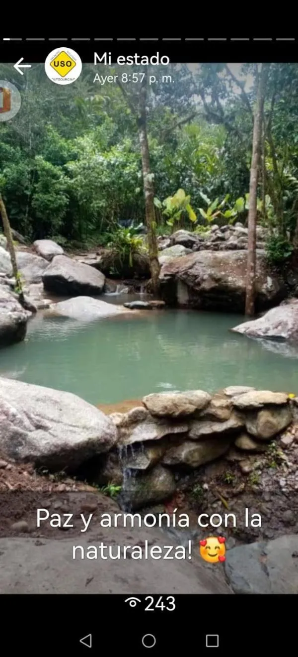 Natural landscape in Chirripo Art Hotel