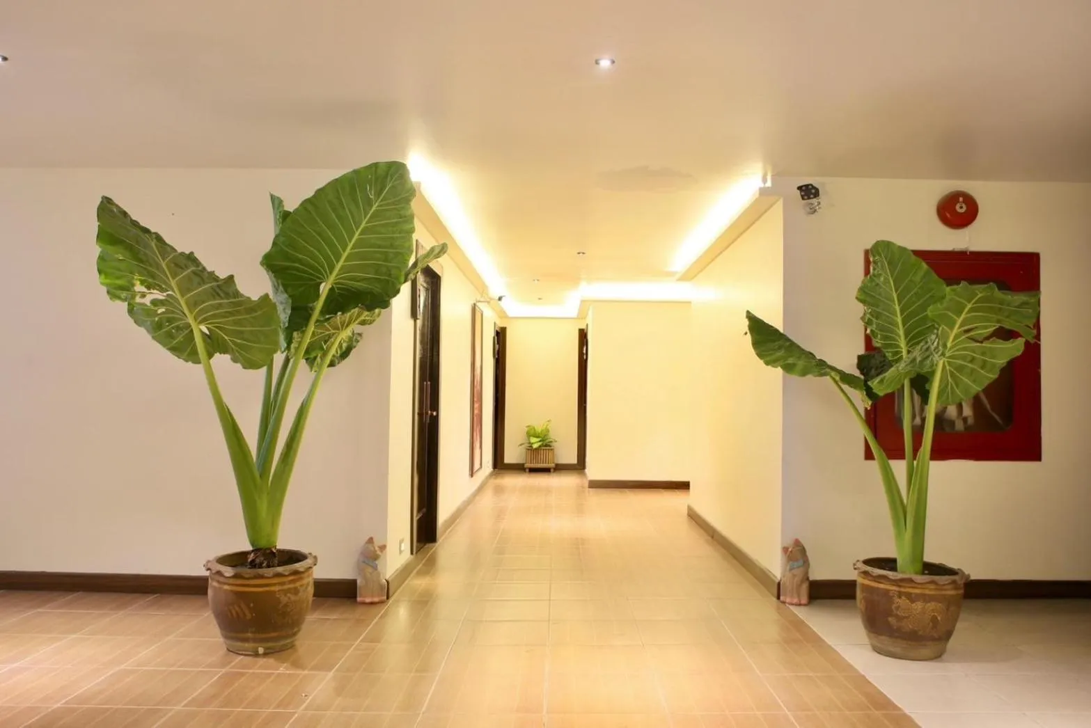 Property building in Thapaeplacehotel