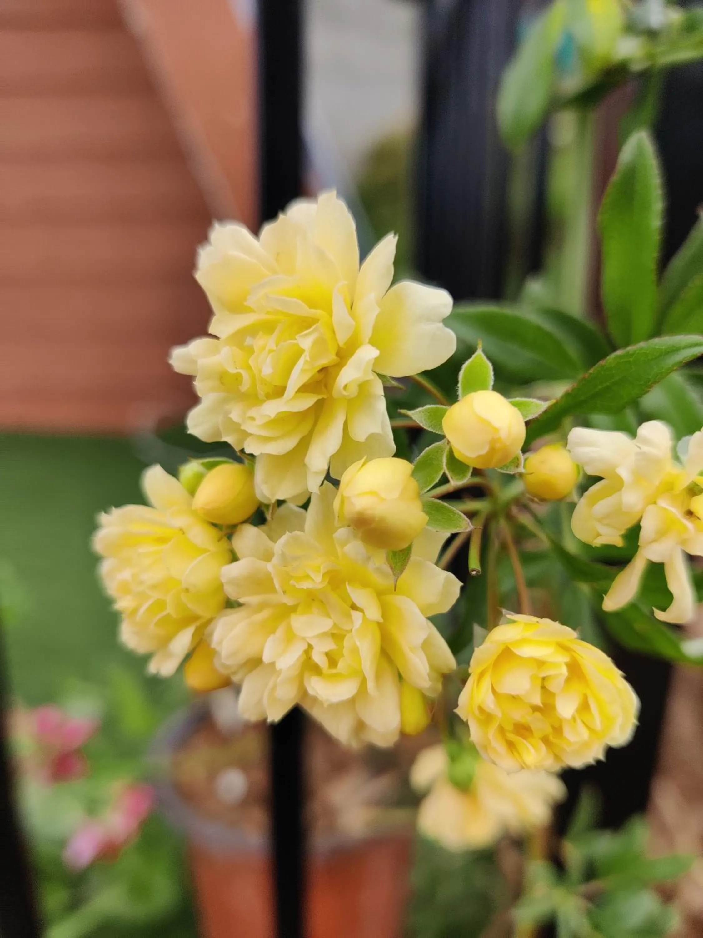 Day in The Soul Stroll Cottages Retreat