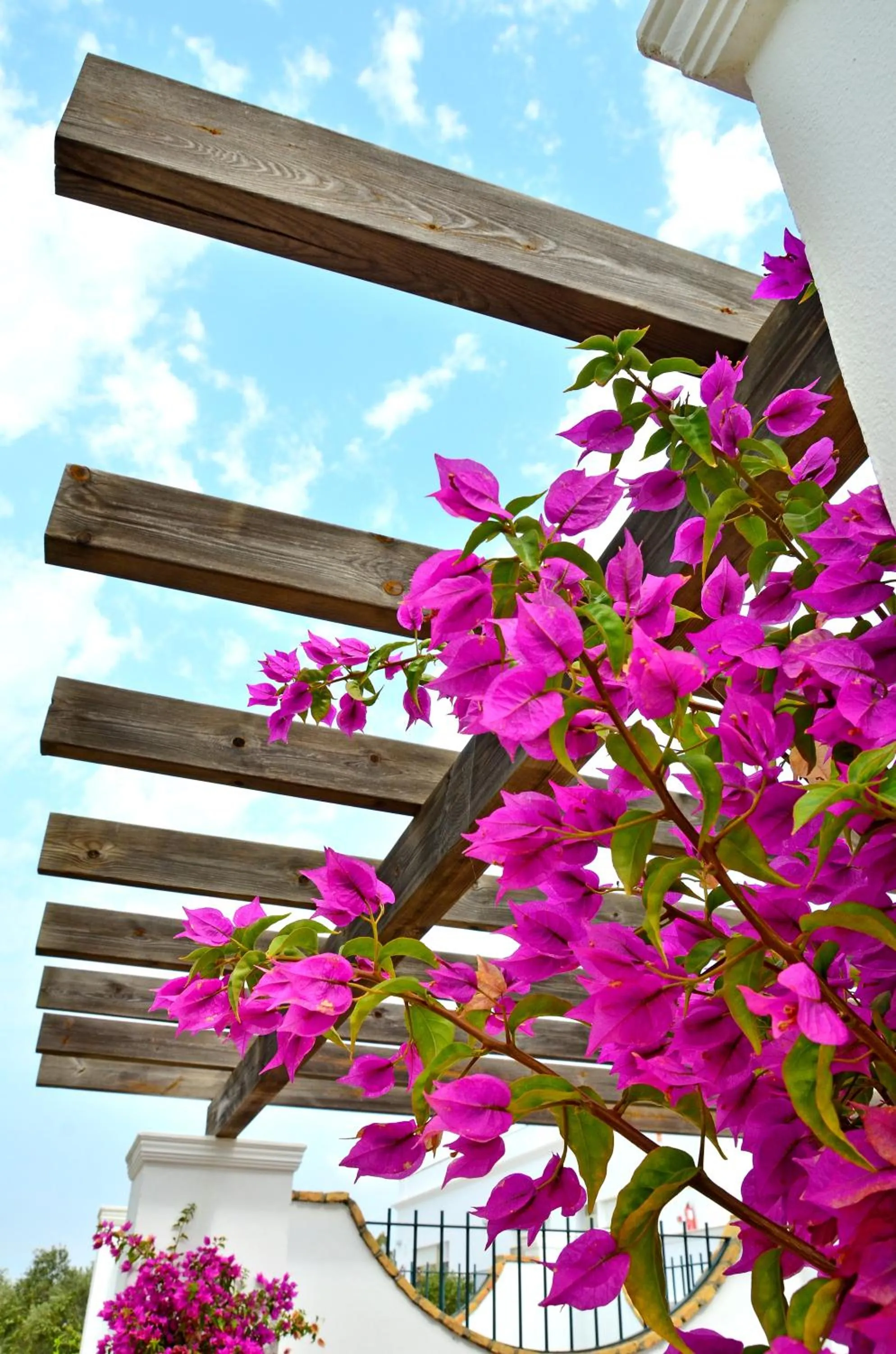 Spring in Apartamentos Piedramar