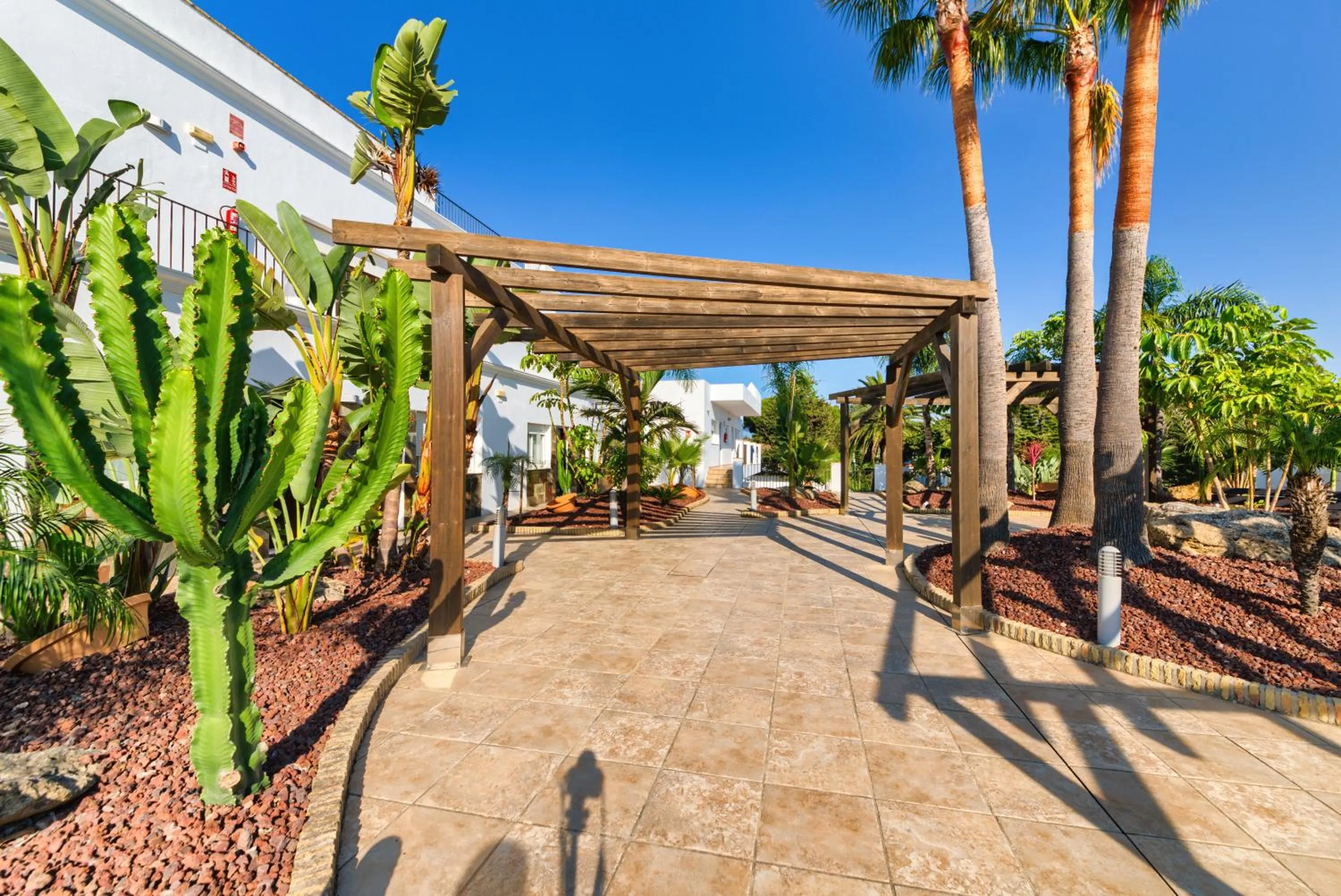 Garden in Apartamentos Piedramar