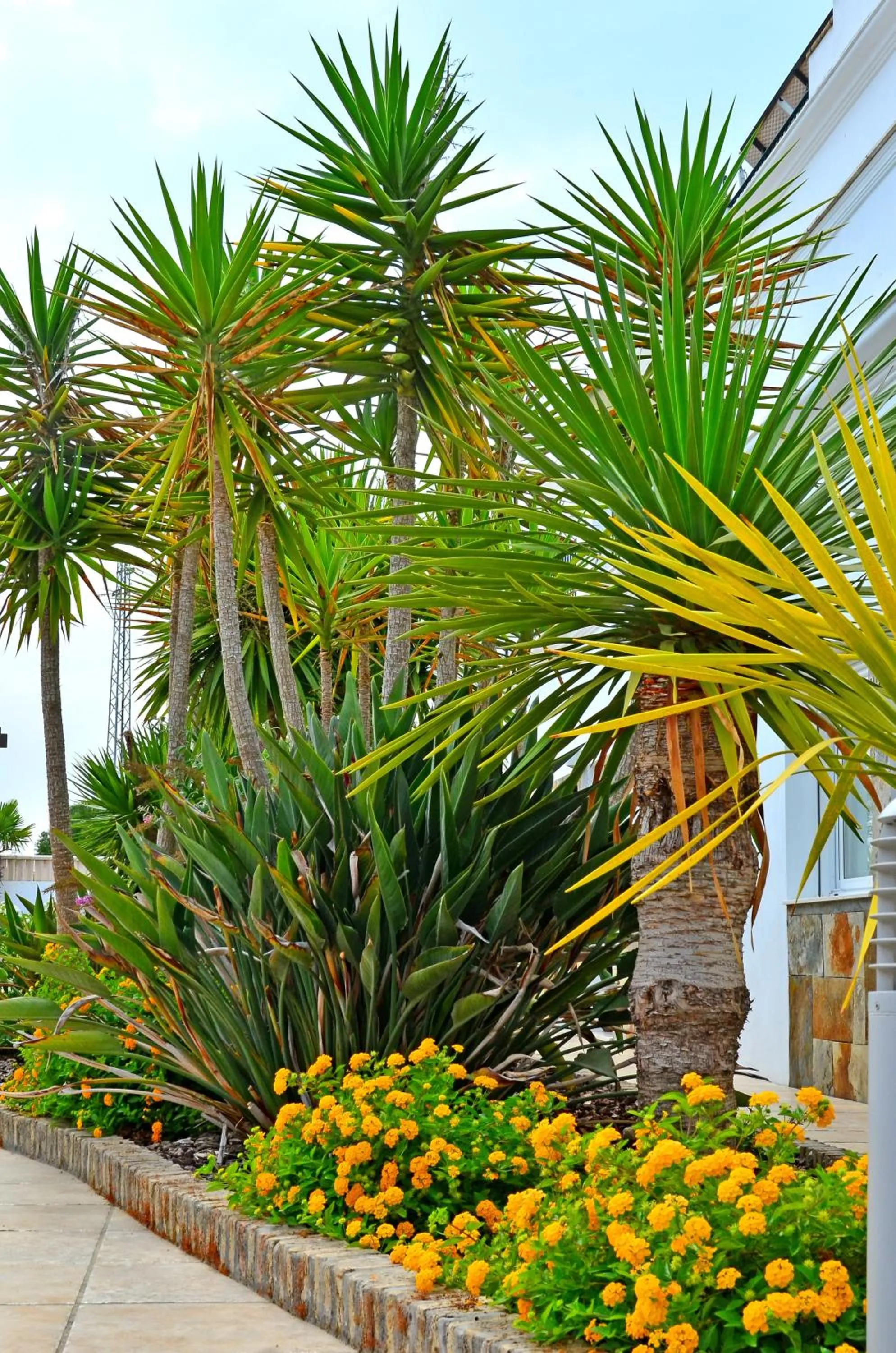 Decorative detail in Apartamentos Piedramar