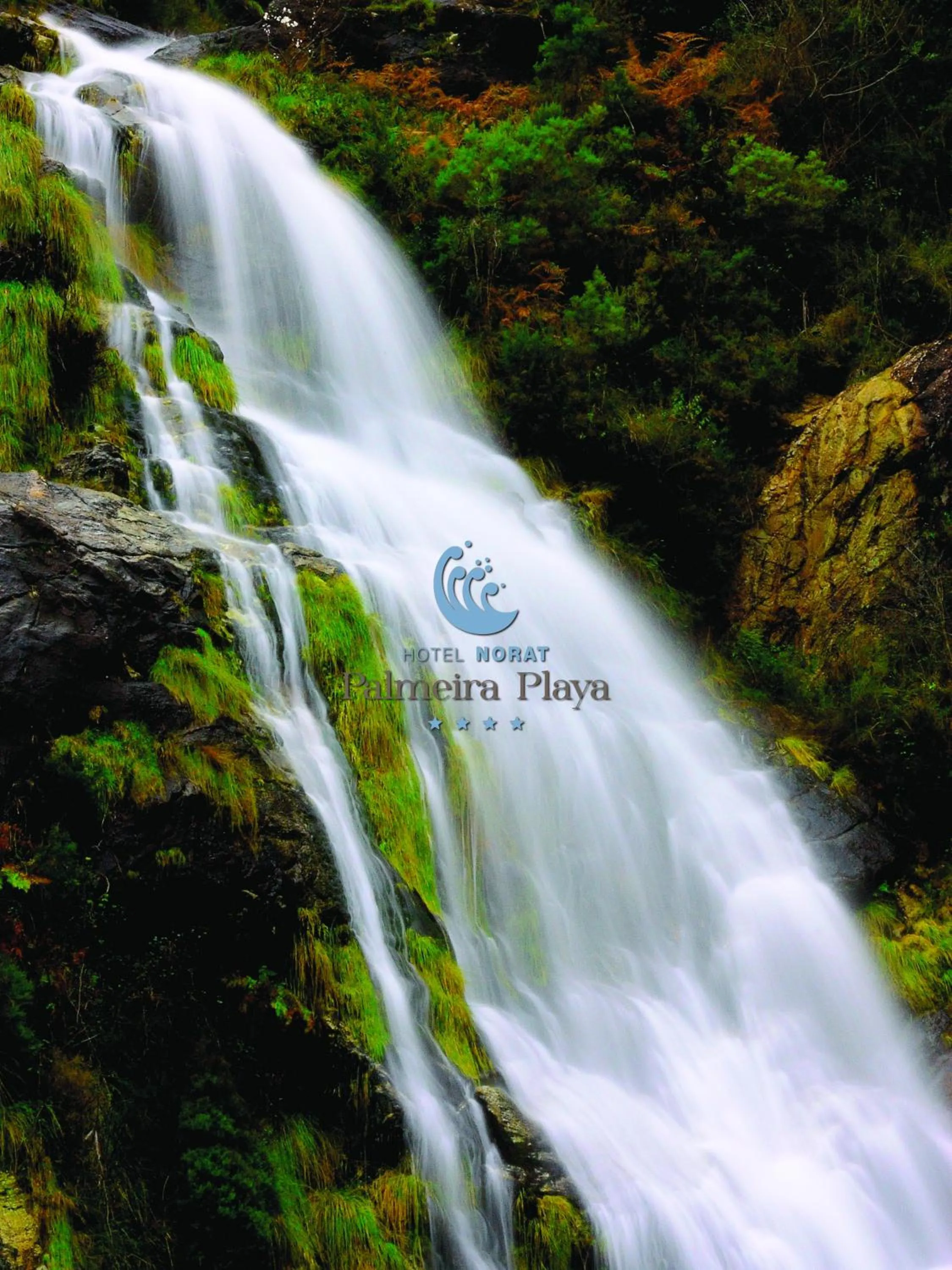 Hotel Norat Palmeira Playa