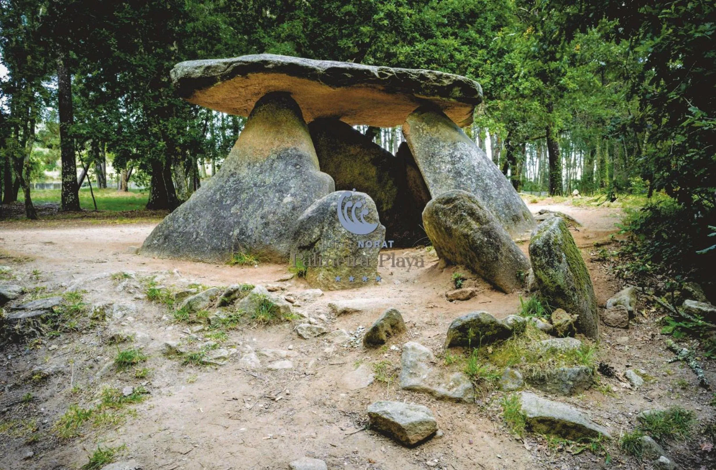 Hotel Norat Palmeira Playa