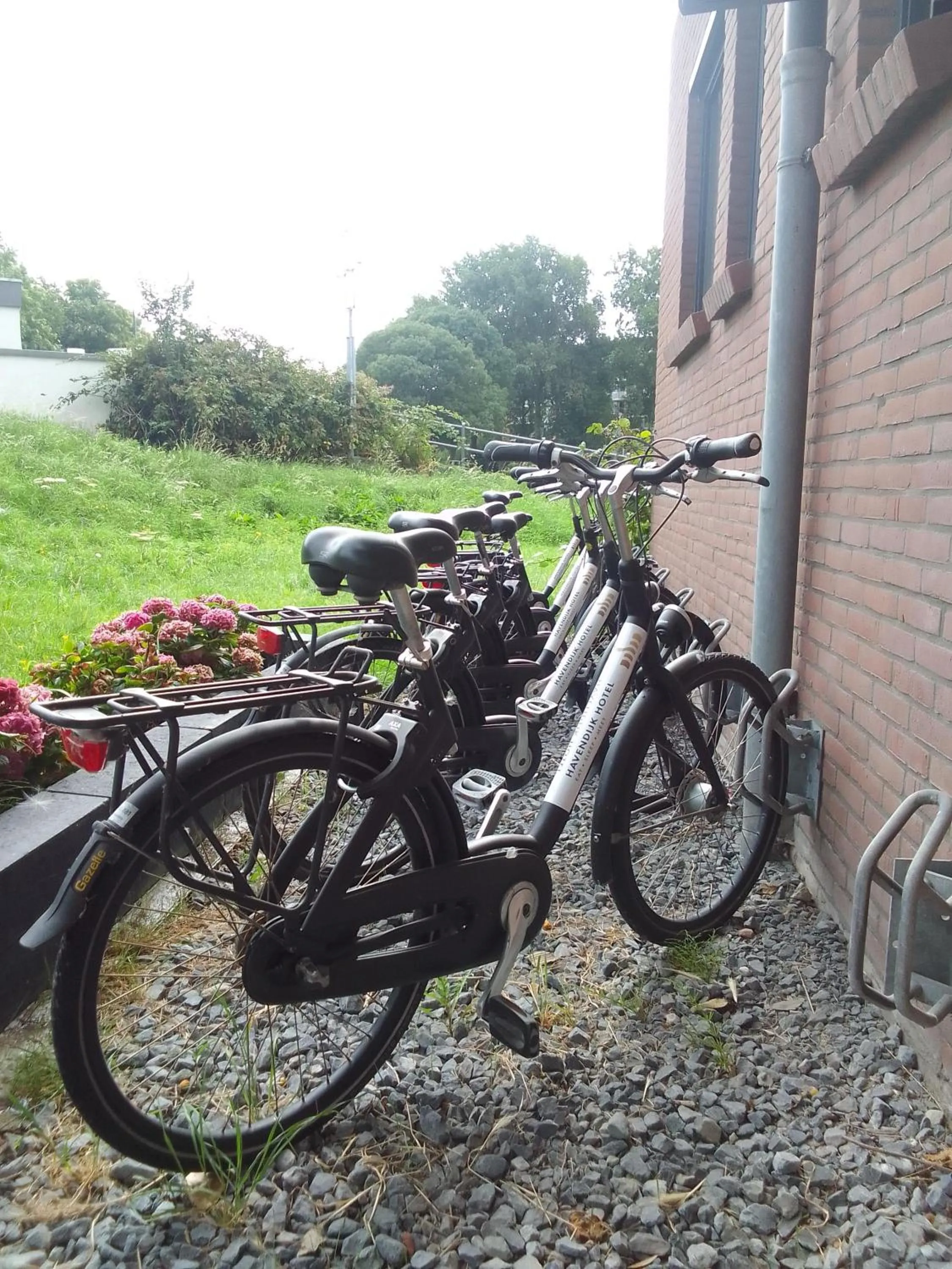 Cycling in Havendijk Hotel