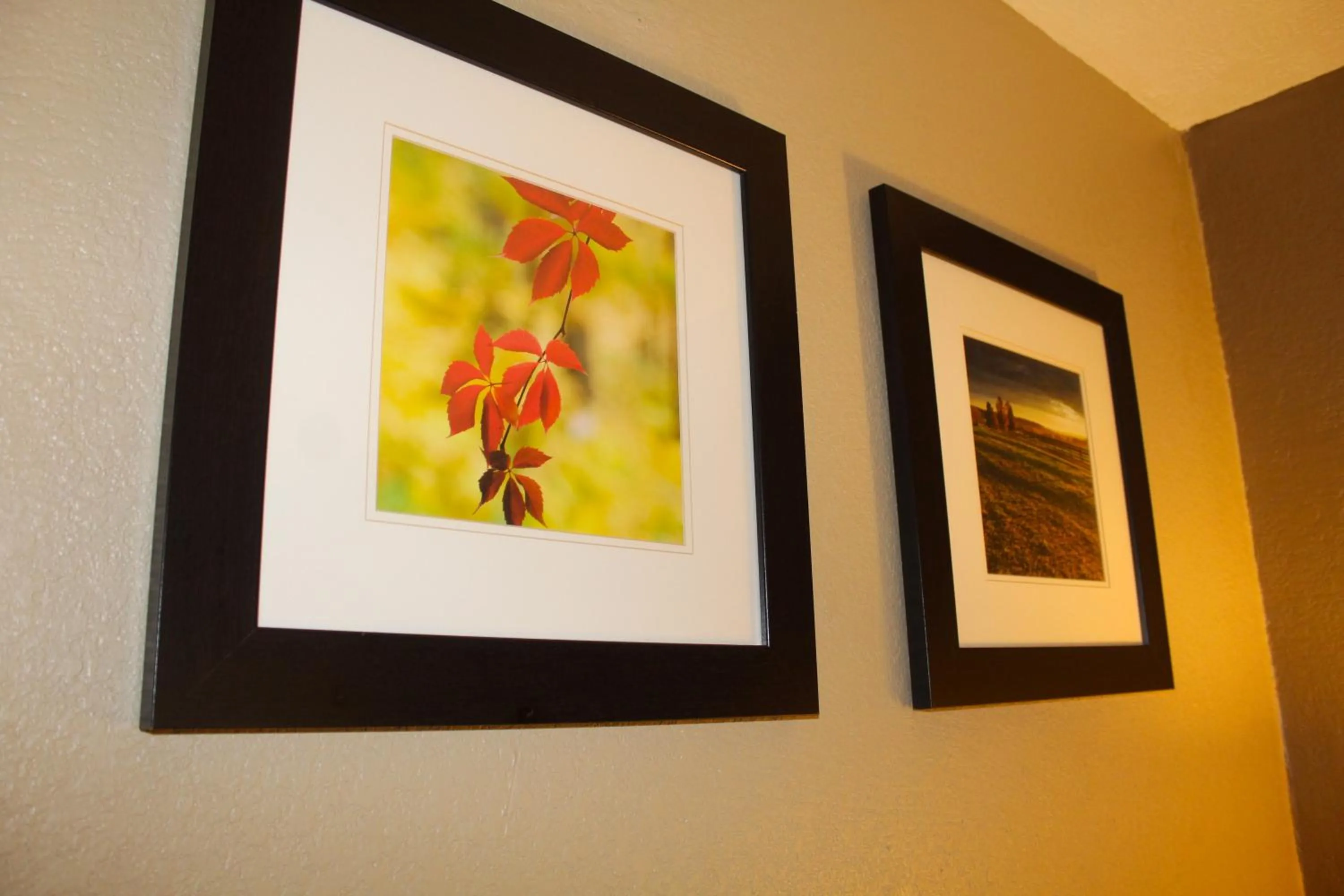 Other in Bristol Arcadia Inn