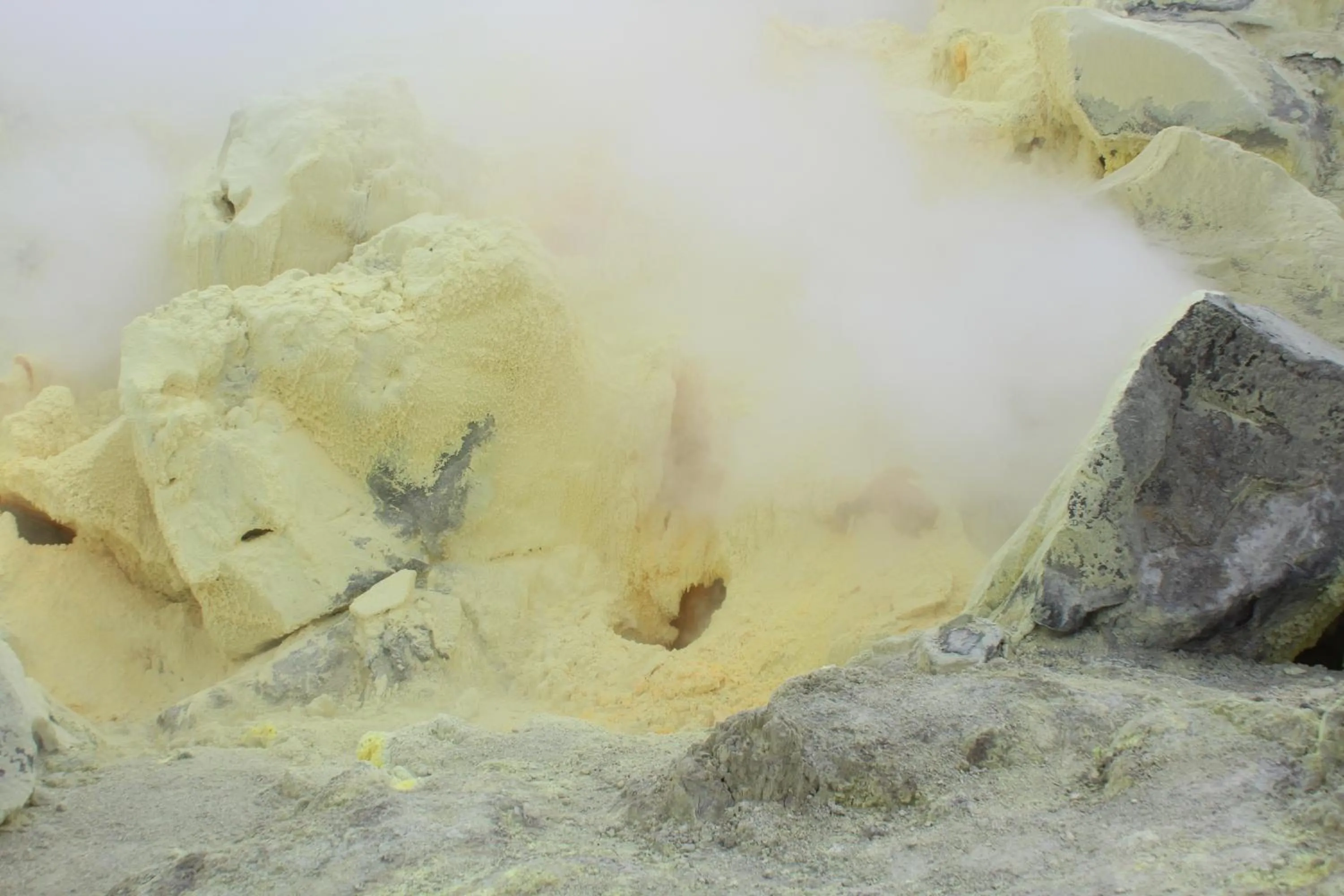 Natural landscape in Mi Playa Galapagos Beachfront Apartments