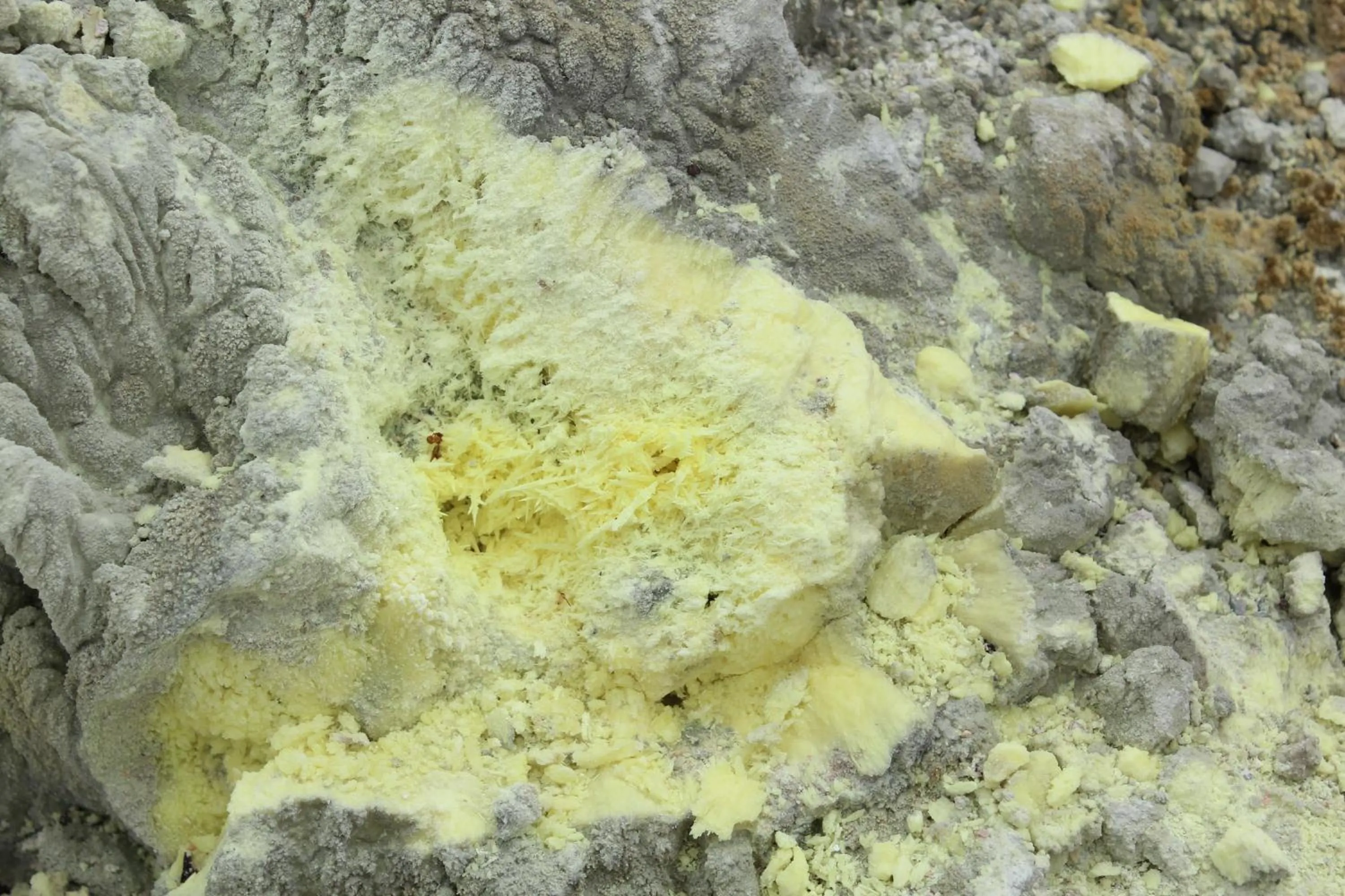 Day in Mi Playa Galapagos Beachfront Apartments